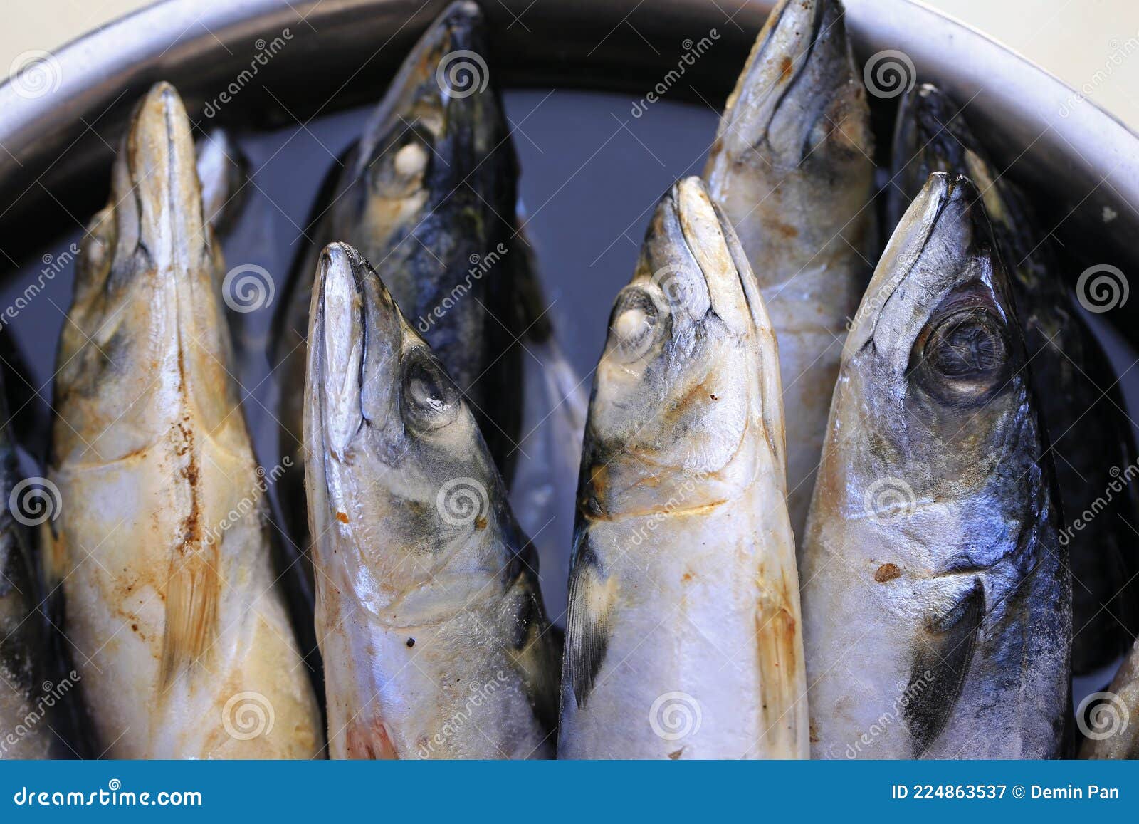 Spanish Mackerel, Very Fresh Stock Image Image of dinner, fresh