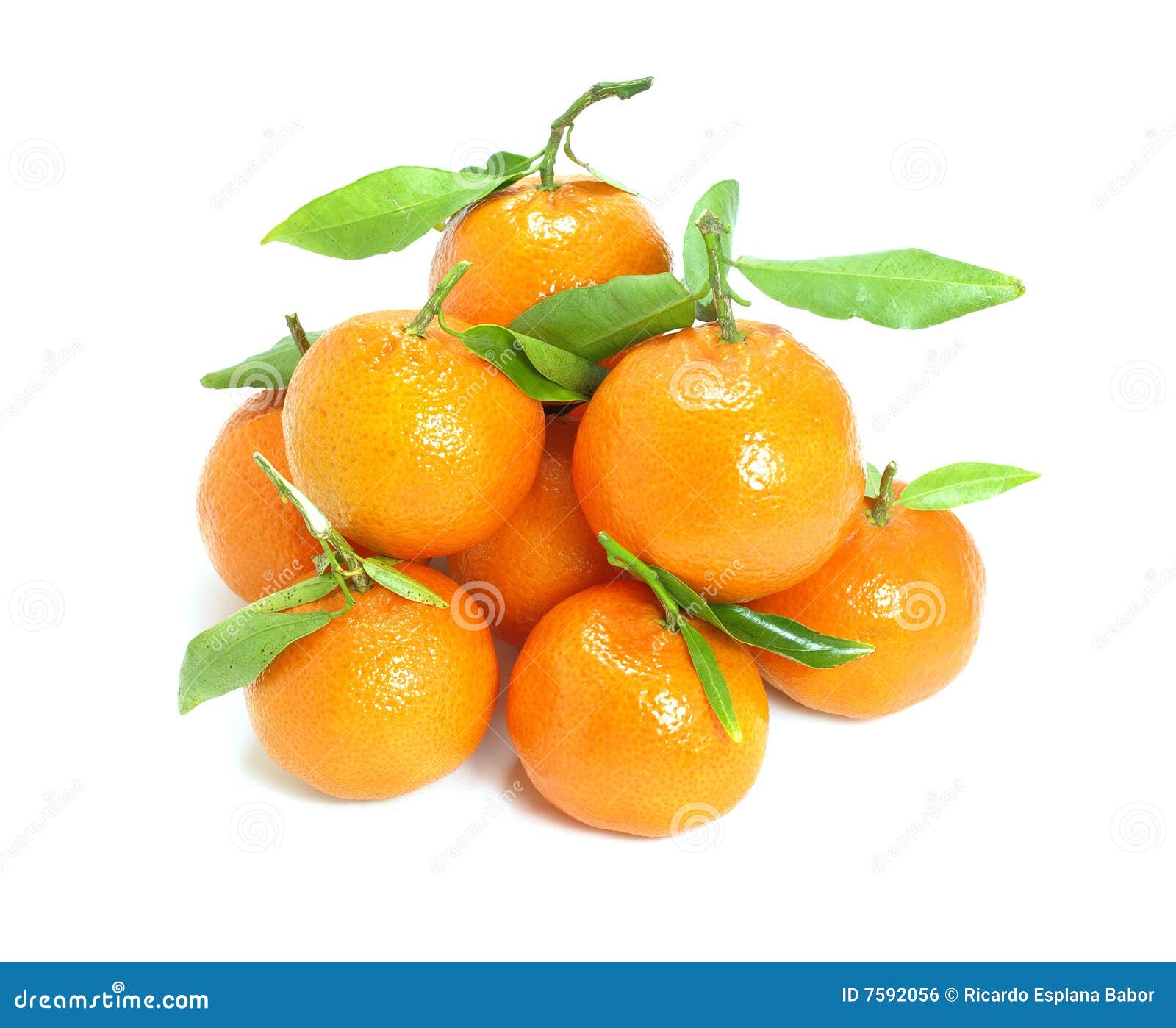Spanish Mandarins stock photo. Image of healthy, nature 7592056