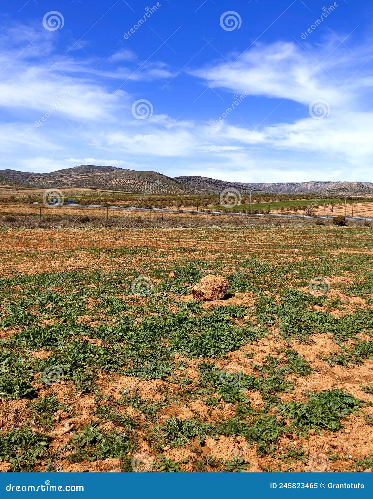 Spanish meadows stock image. Image of environment, field 245823465