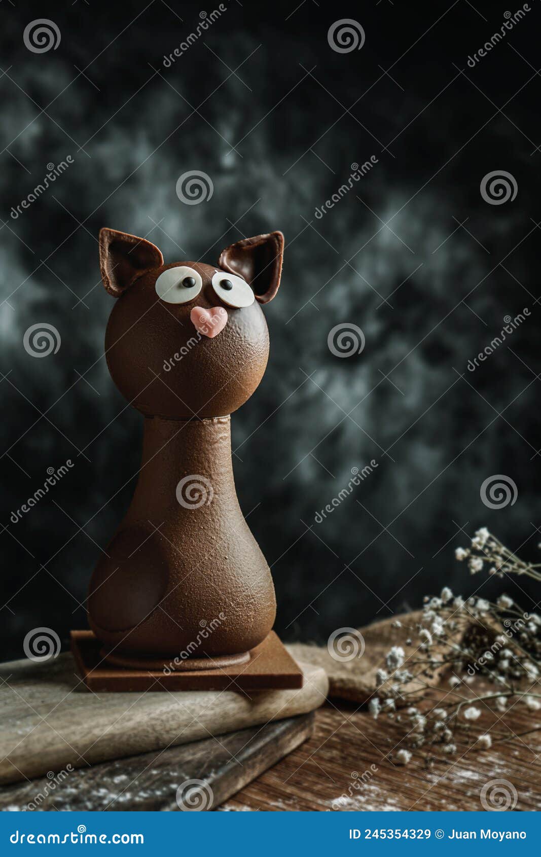 spanish mona de pascua in the  of a cat