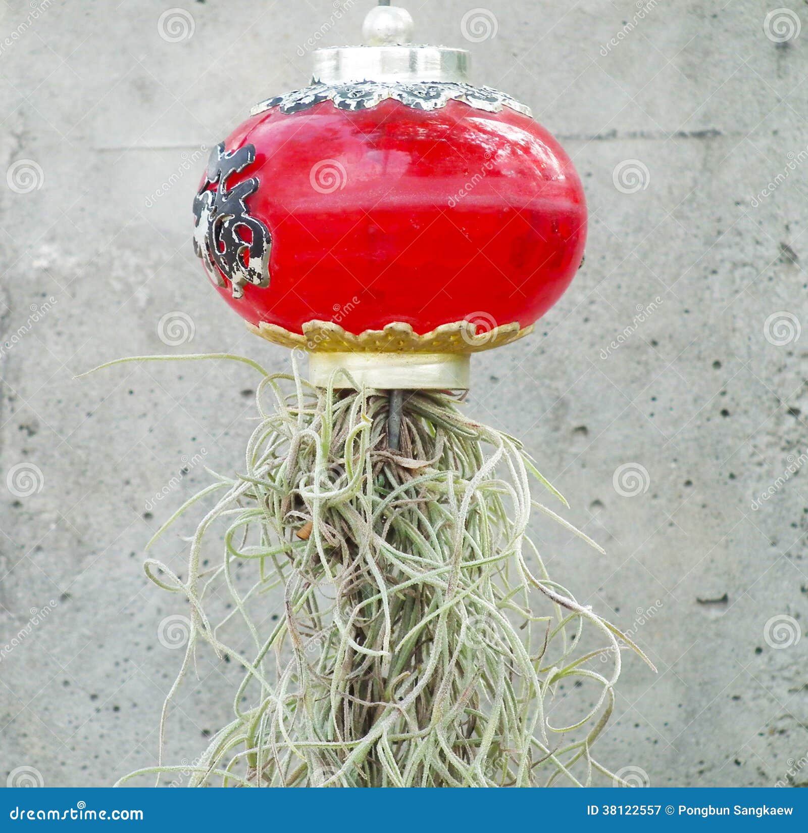 Spanish moss decorate stock image. Image of threadlike 38122557