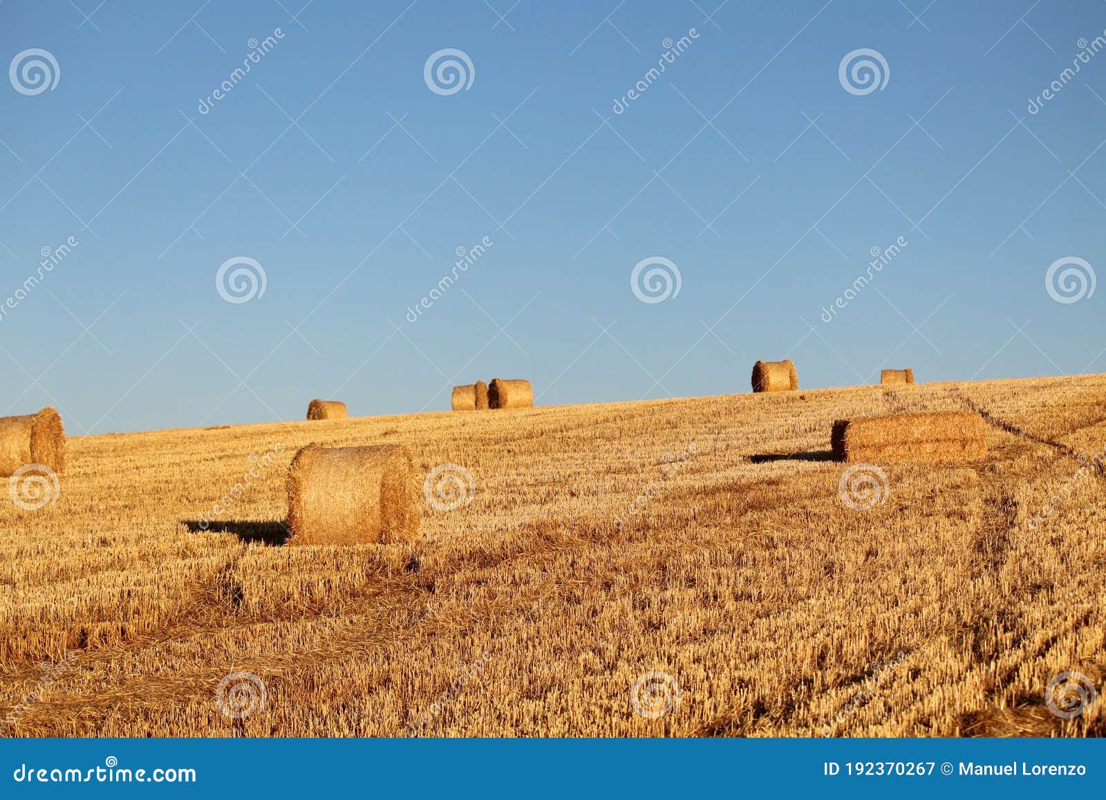 Spanishspanish Mowed Field of Spain with Straw Collected in Bales