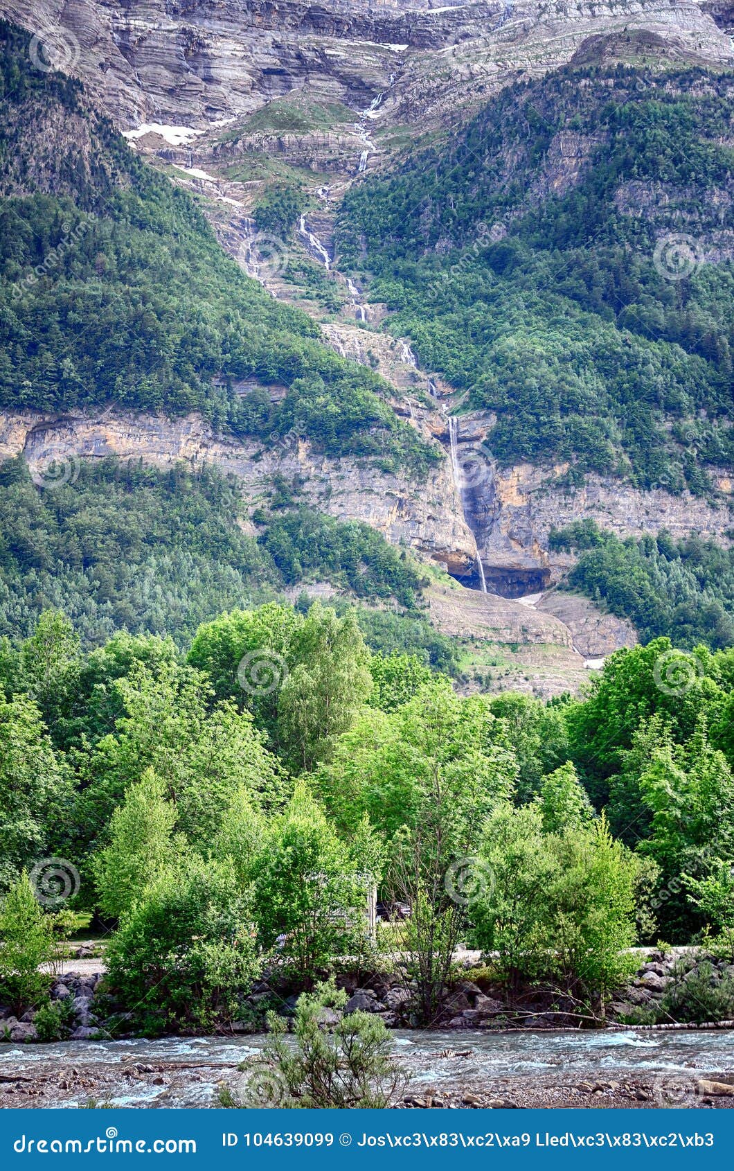 alpine rill and mountaine forest in the national park of ordesa.
