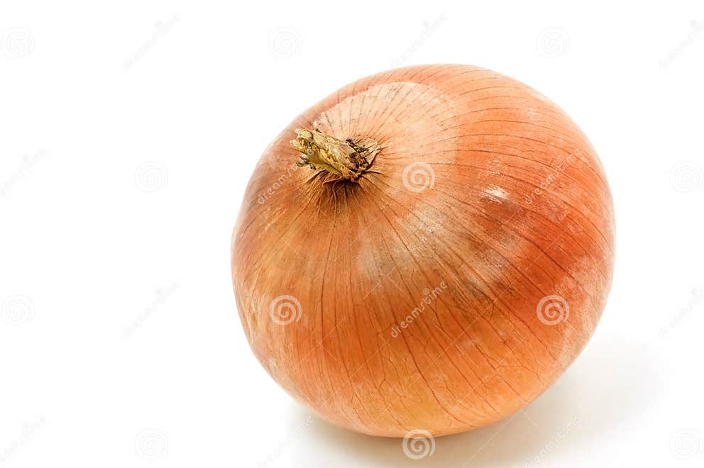 Spanish onion stock image. Image of vegetable, ingredient 13295397