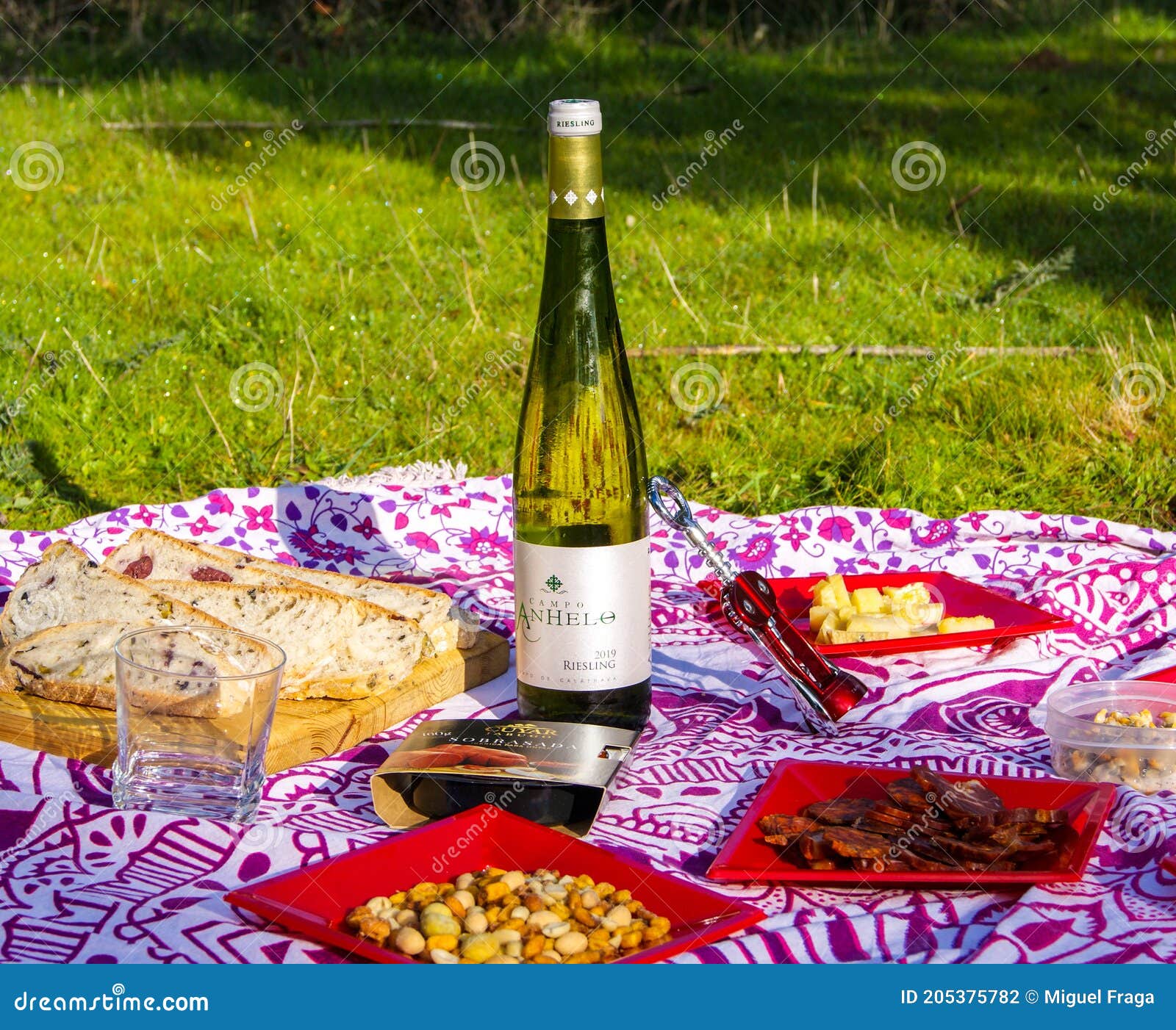 Spanish Picnic in a Natural Environment Editorial Photography Image