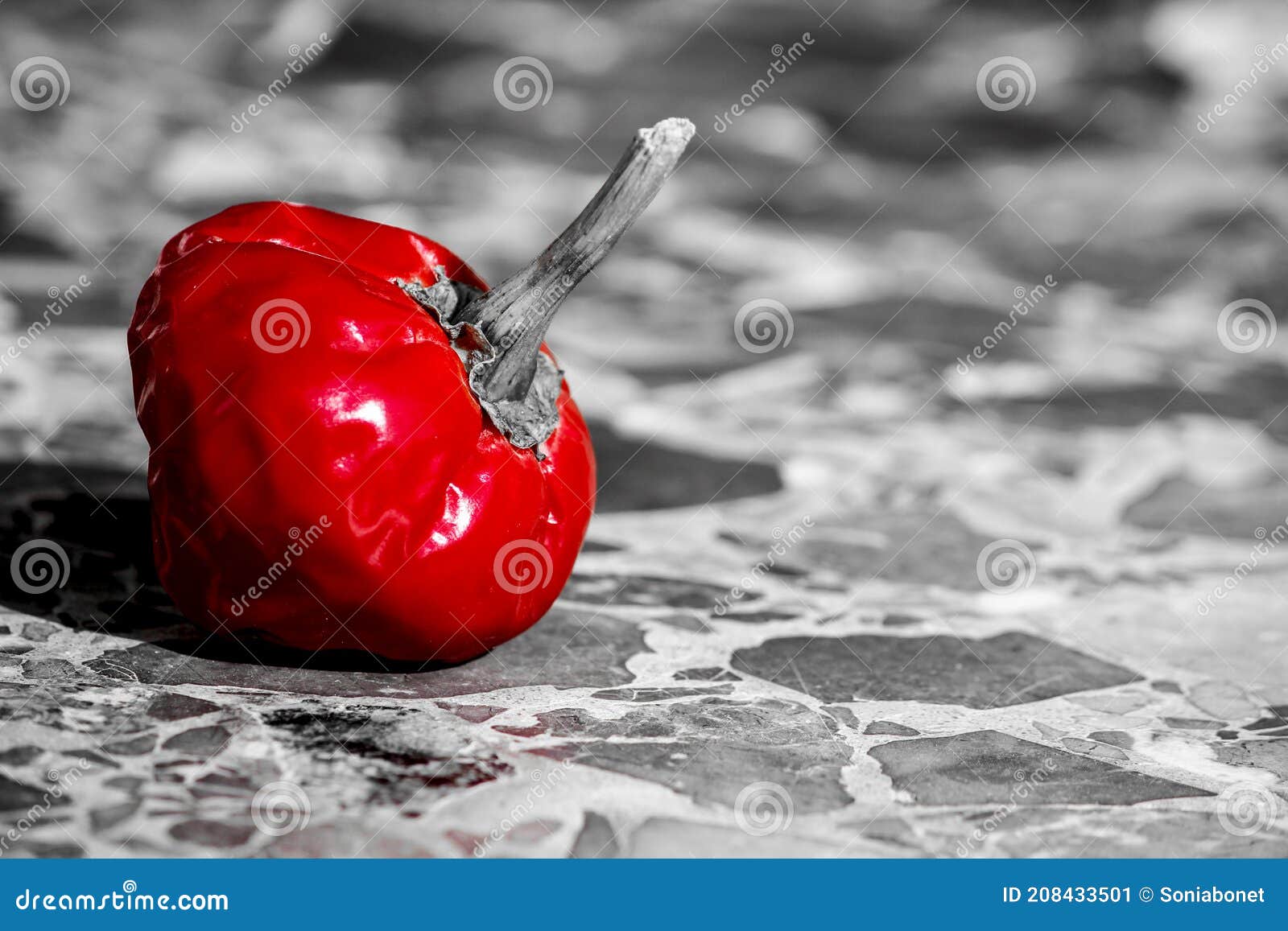 Spanish Red Pepper on Granite Floor Stock Image Image of individual