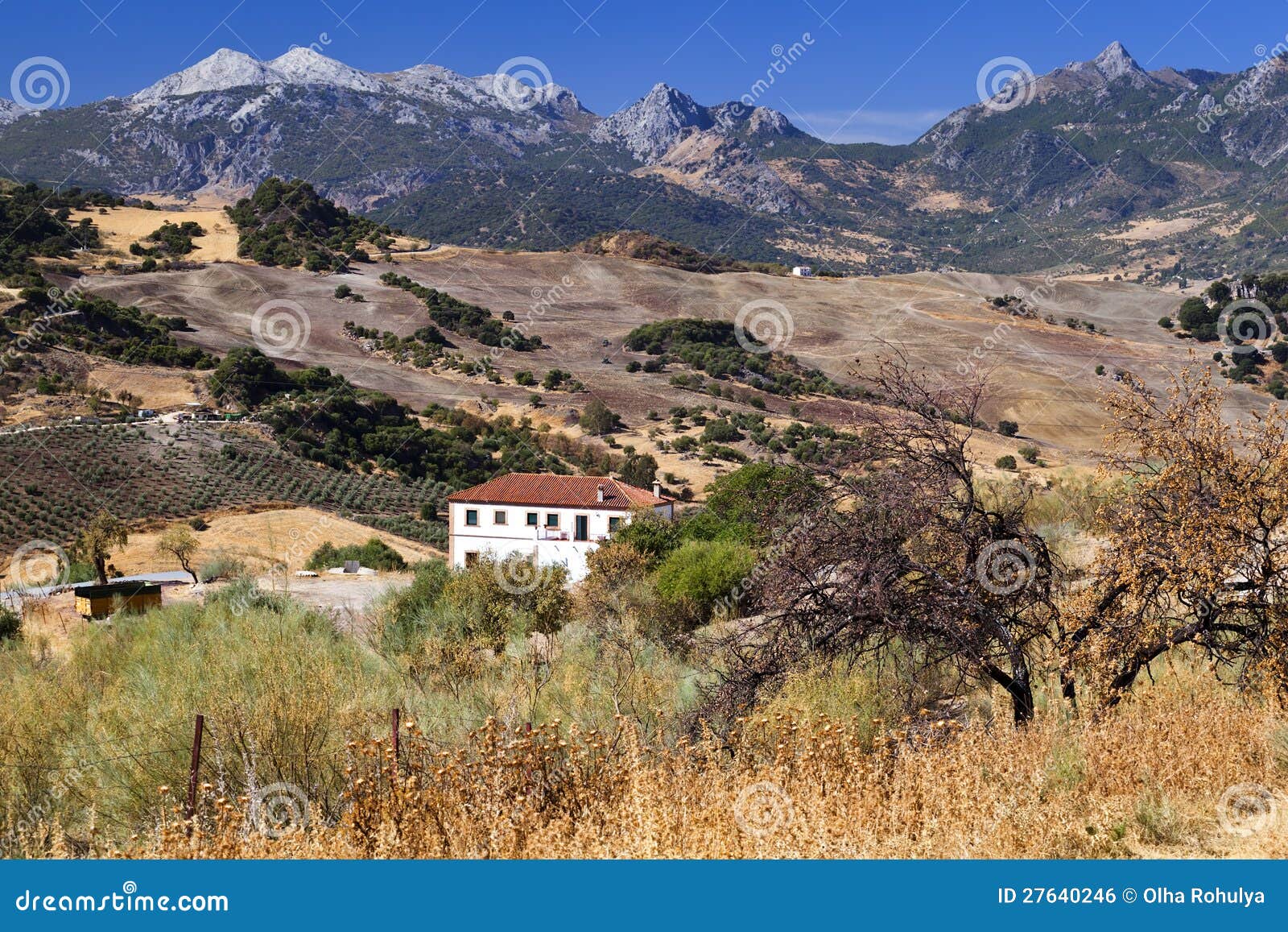 Spanish Rural Landscape with Mountains Stock Photo Image of