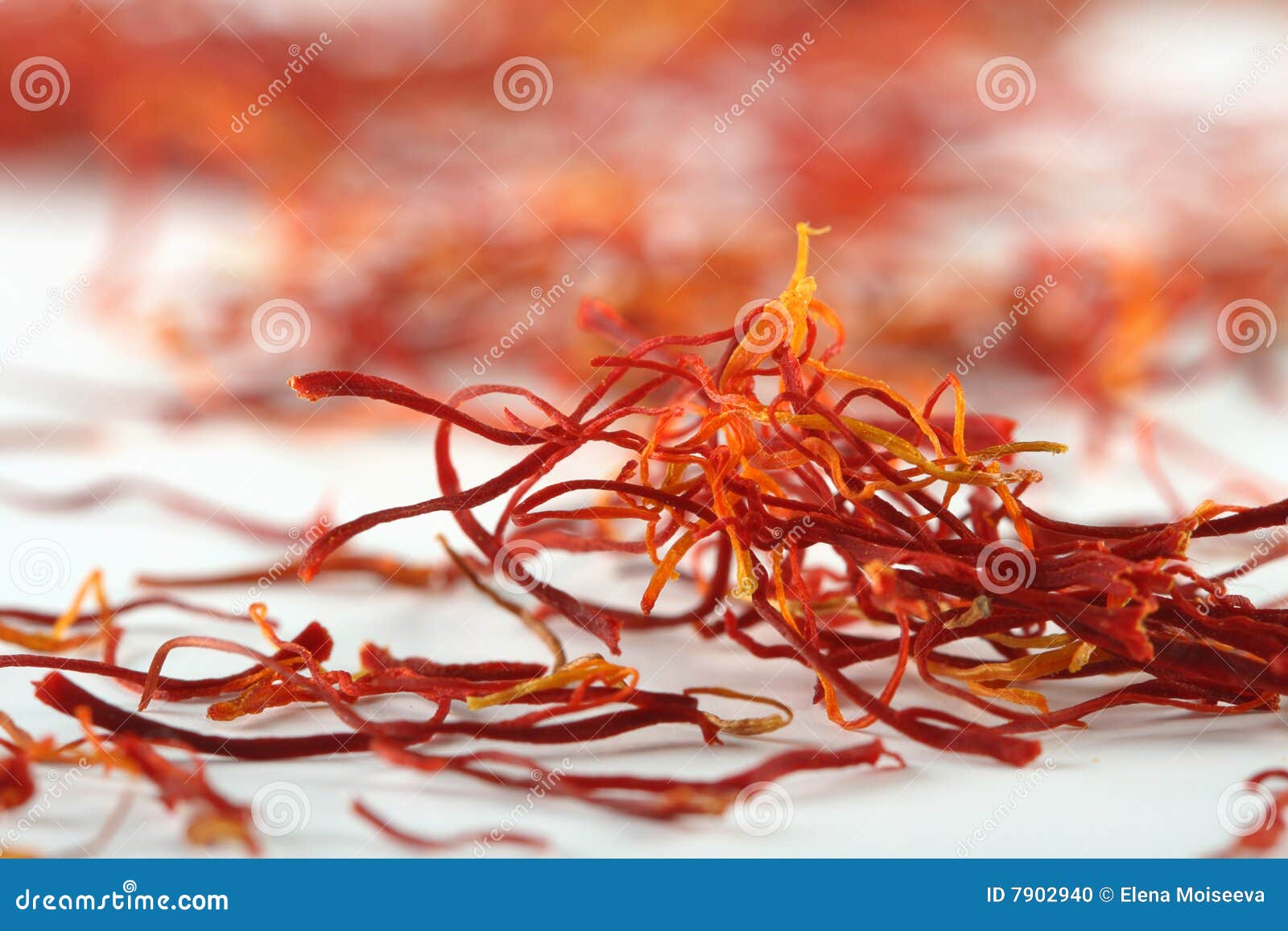 Spanish Saffron Treads Super Macro Shot Stock Photo Image of spanish