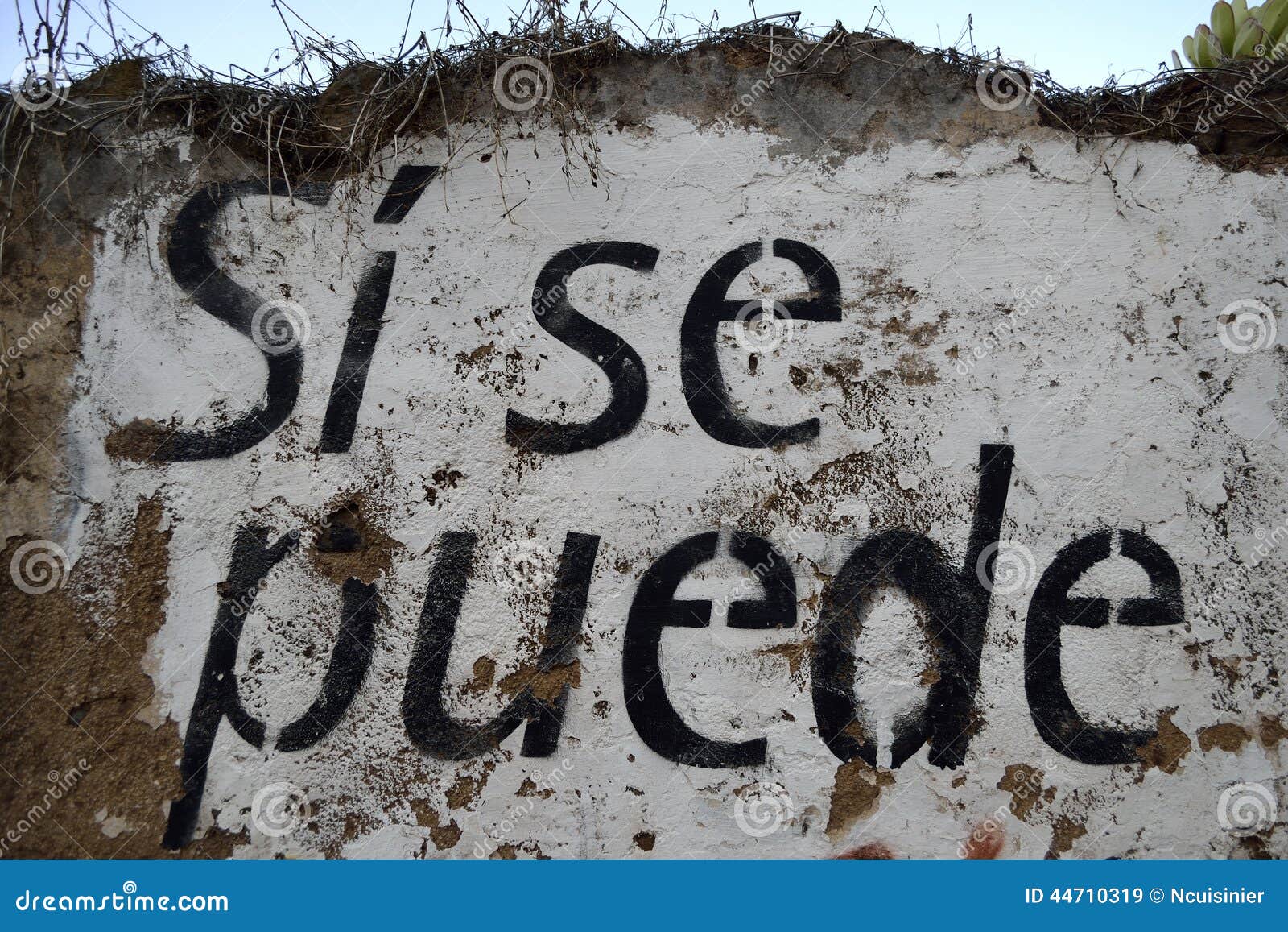 spanish text painted on a wall: si se puede