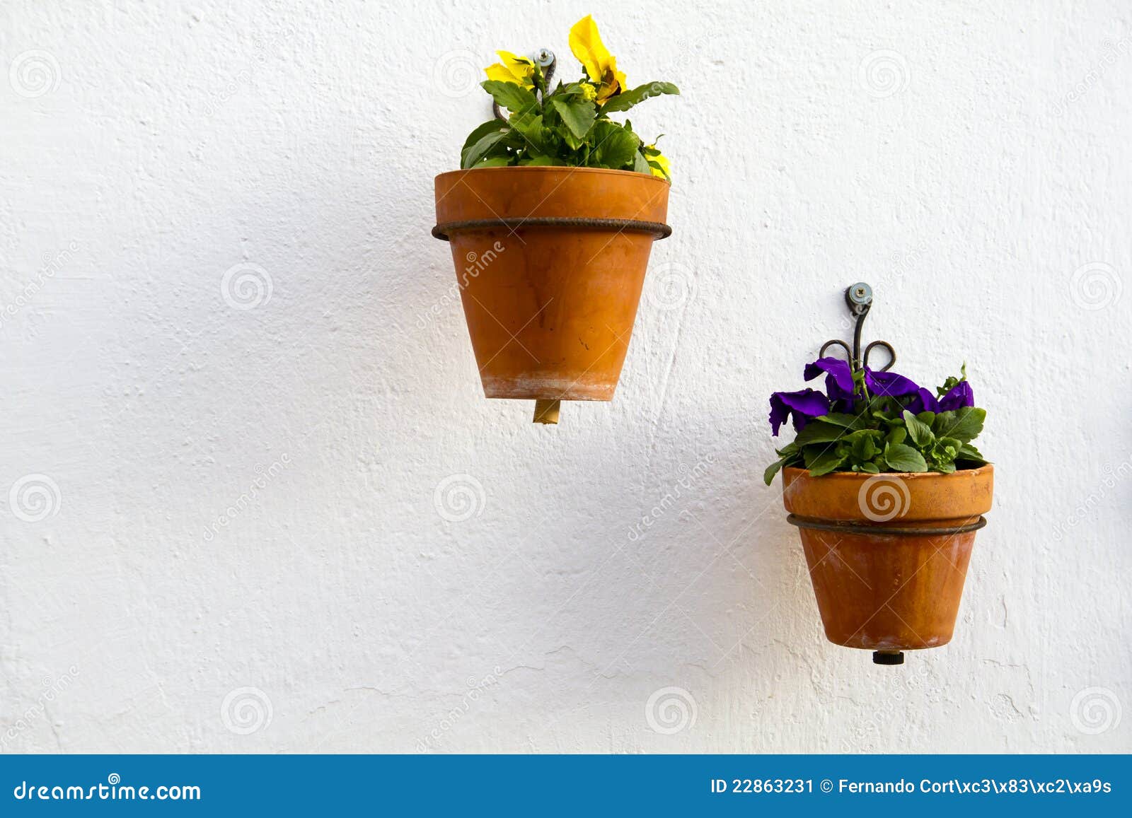 spanish wall with beautiful plants.