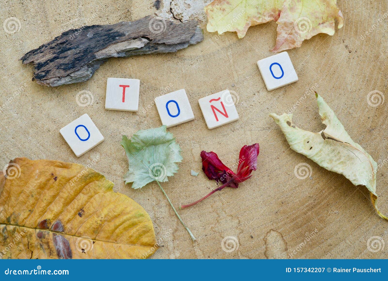 the spanish word otono in letters