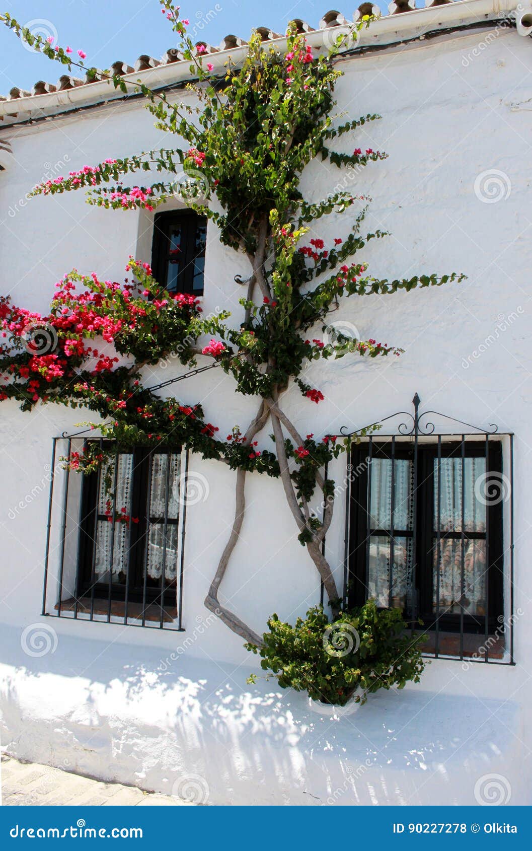 Spanje Andalucia Mijas Roze Bloemen Op Witte Muur Van Huisachtergrond ...