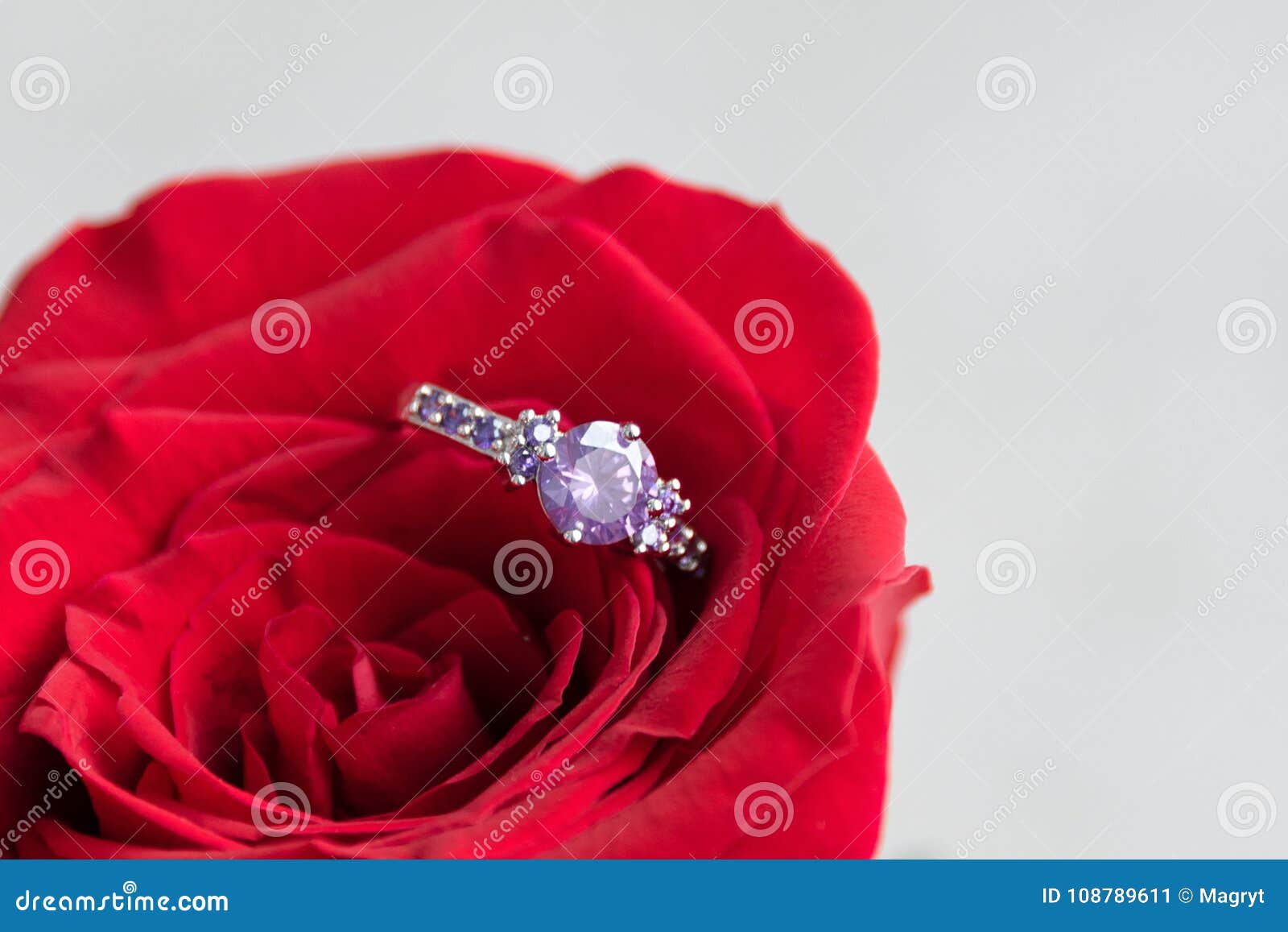 Sparkling Engagement Ring Inside Red Rose. Romantic Gift for Valentines  Day. Marriage Proposal Concept. Stock Photo - Image of romantic, deep:  108706120