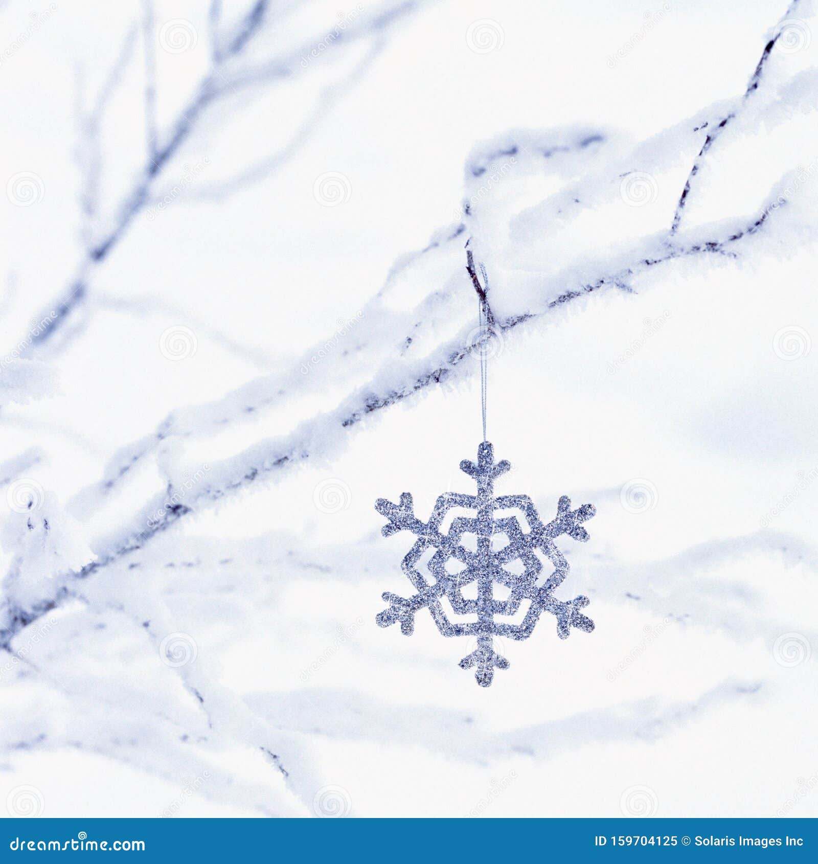 Glitter Snowflake In Snow Stock Photo, Picture and Royalty Free Image.  Image 11026853.