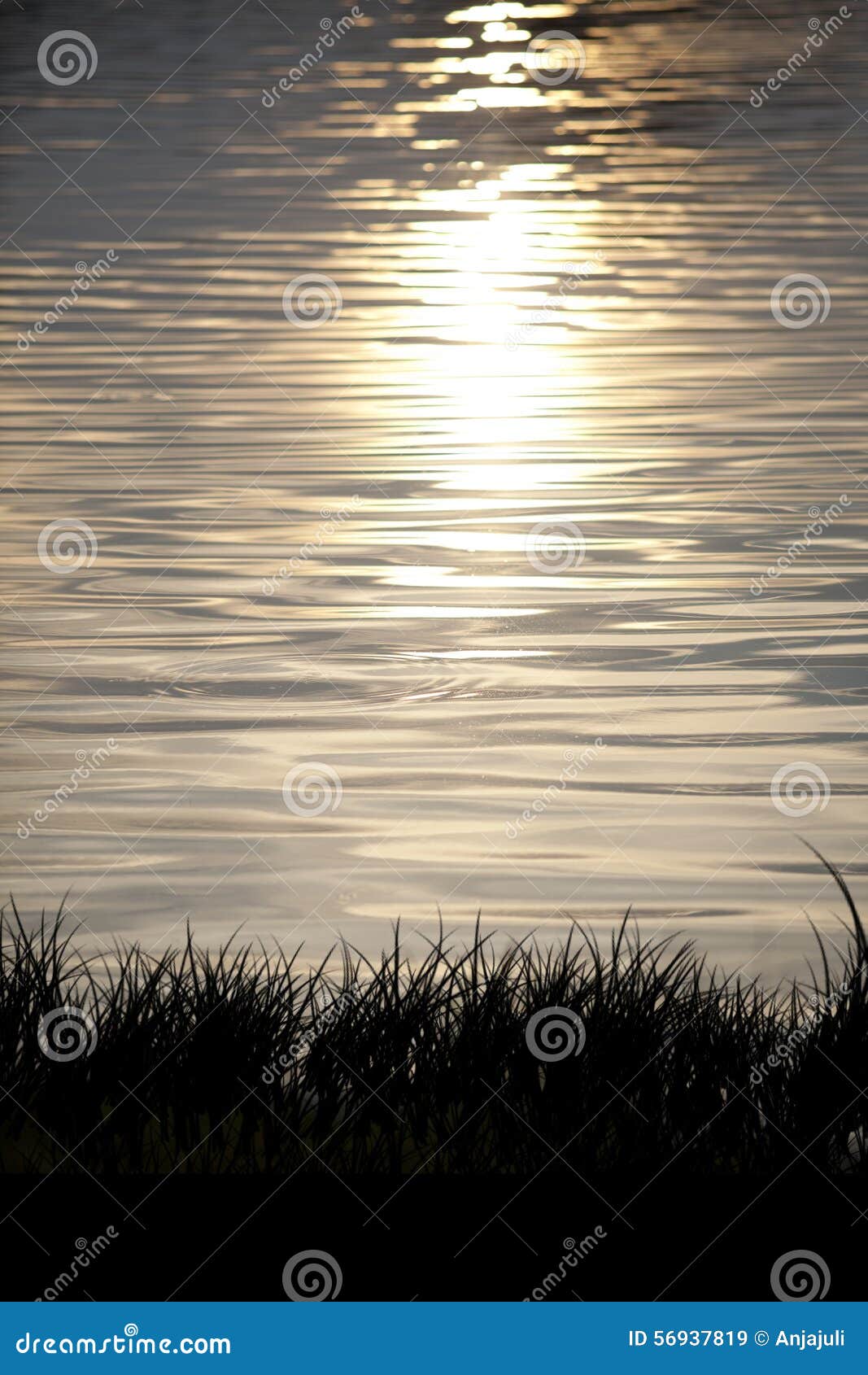 Sparkling Water with Lights of Sunset Vertical Stock Image Image of