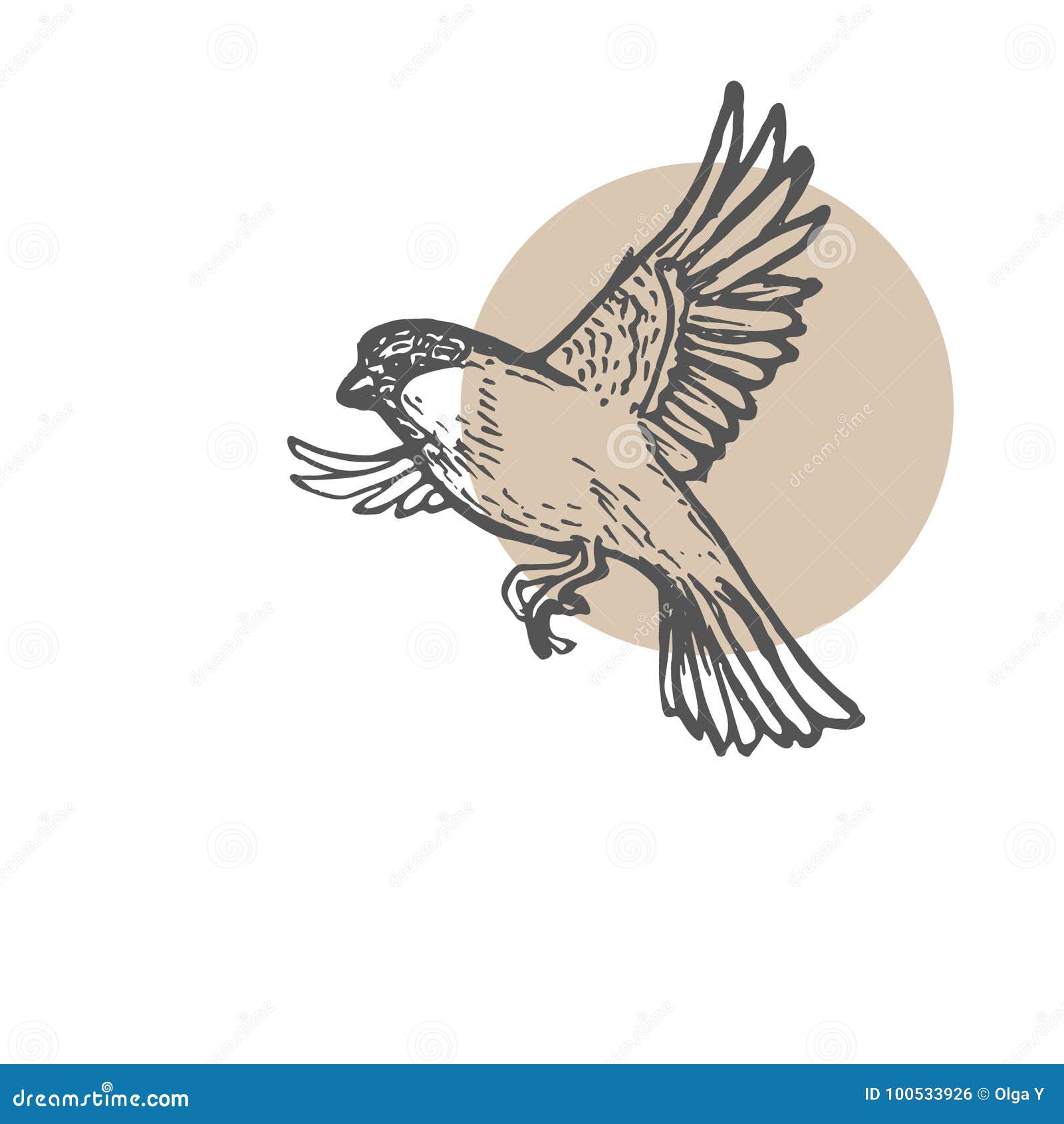Parrot bird flying line art drawing style Vector Image