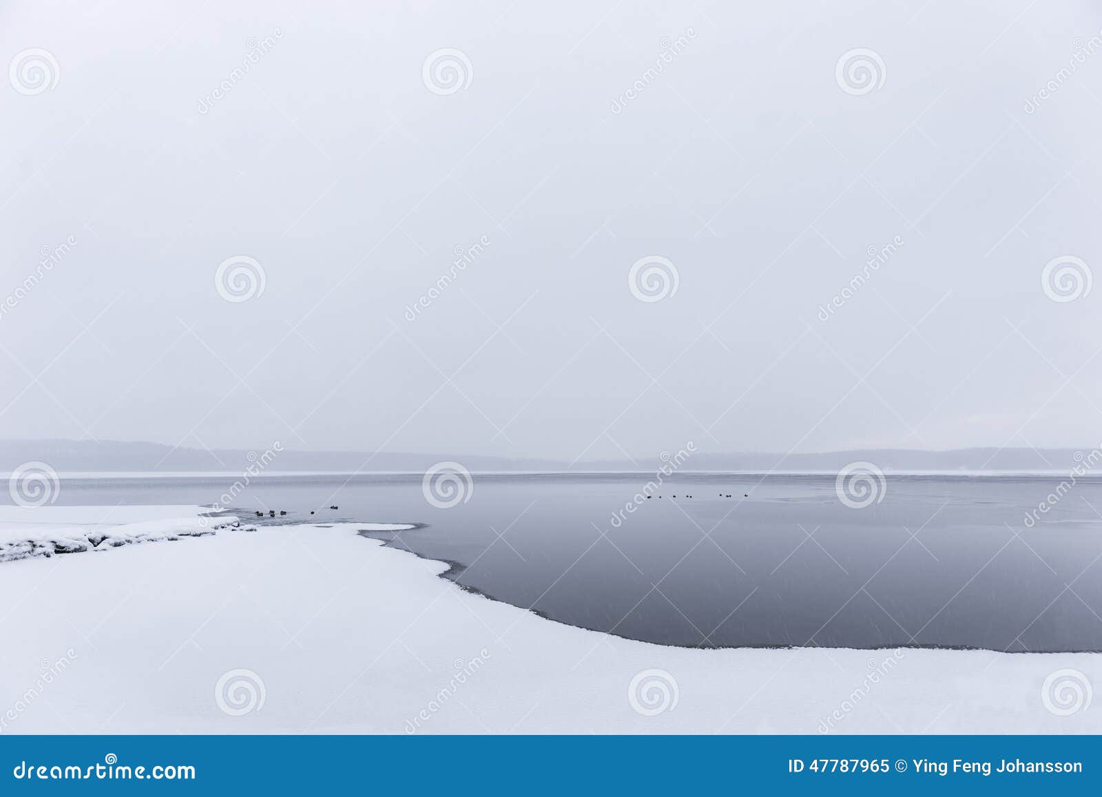 sparse winter landscape