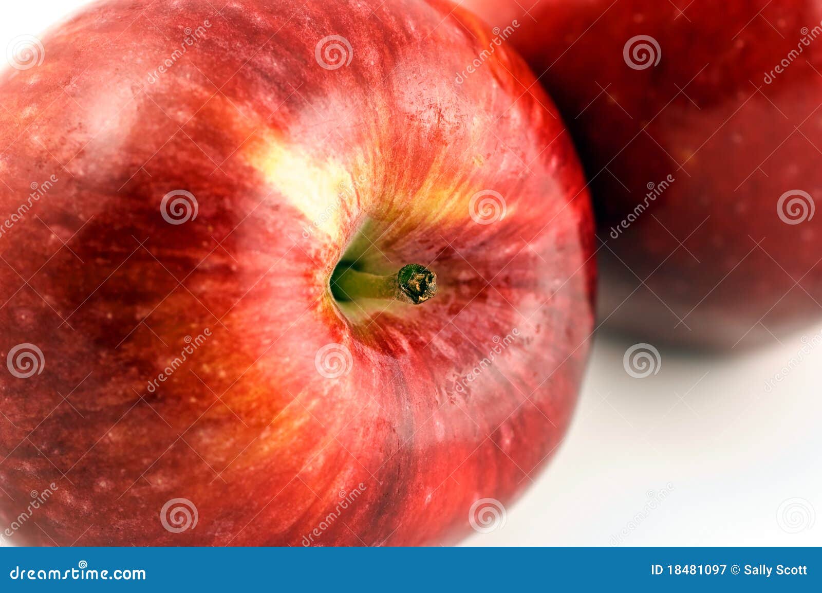 Spartan apples stock image. Image of nutrition, delicious 18481097