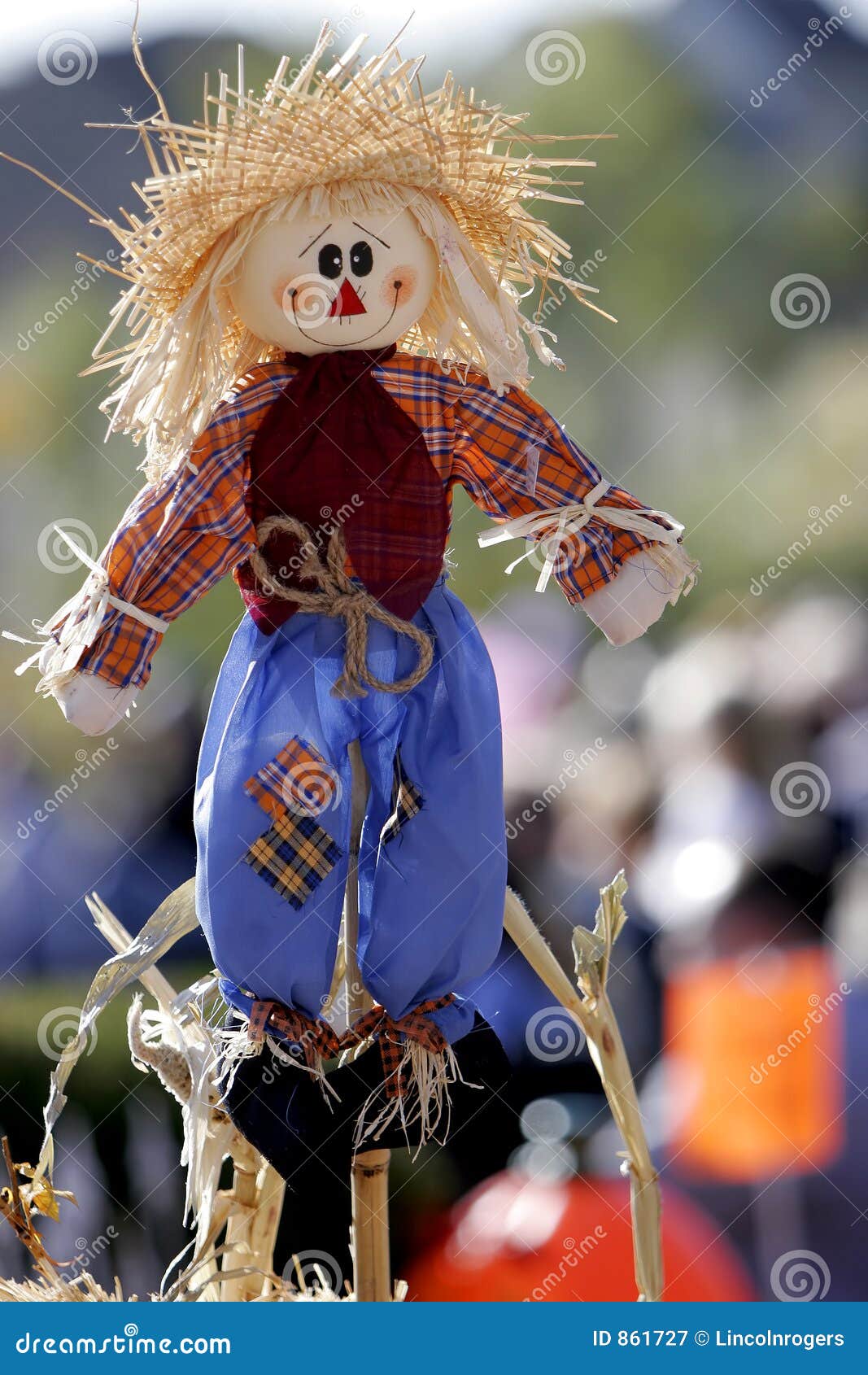 Spaventapasseri Drago, Spaventapasseri Per Il Giardino, Spaventapasseri