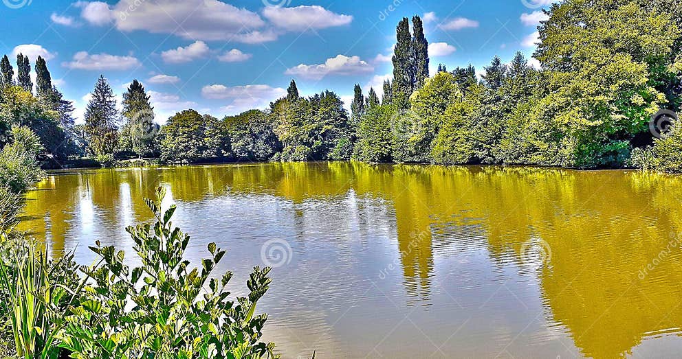 Spaziergang Um Einen Teich Im Sommer Stockfoto Bild von nave, wandern