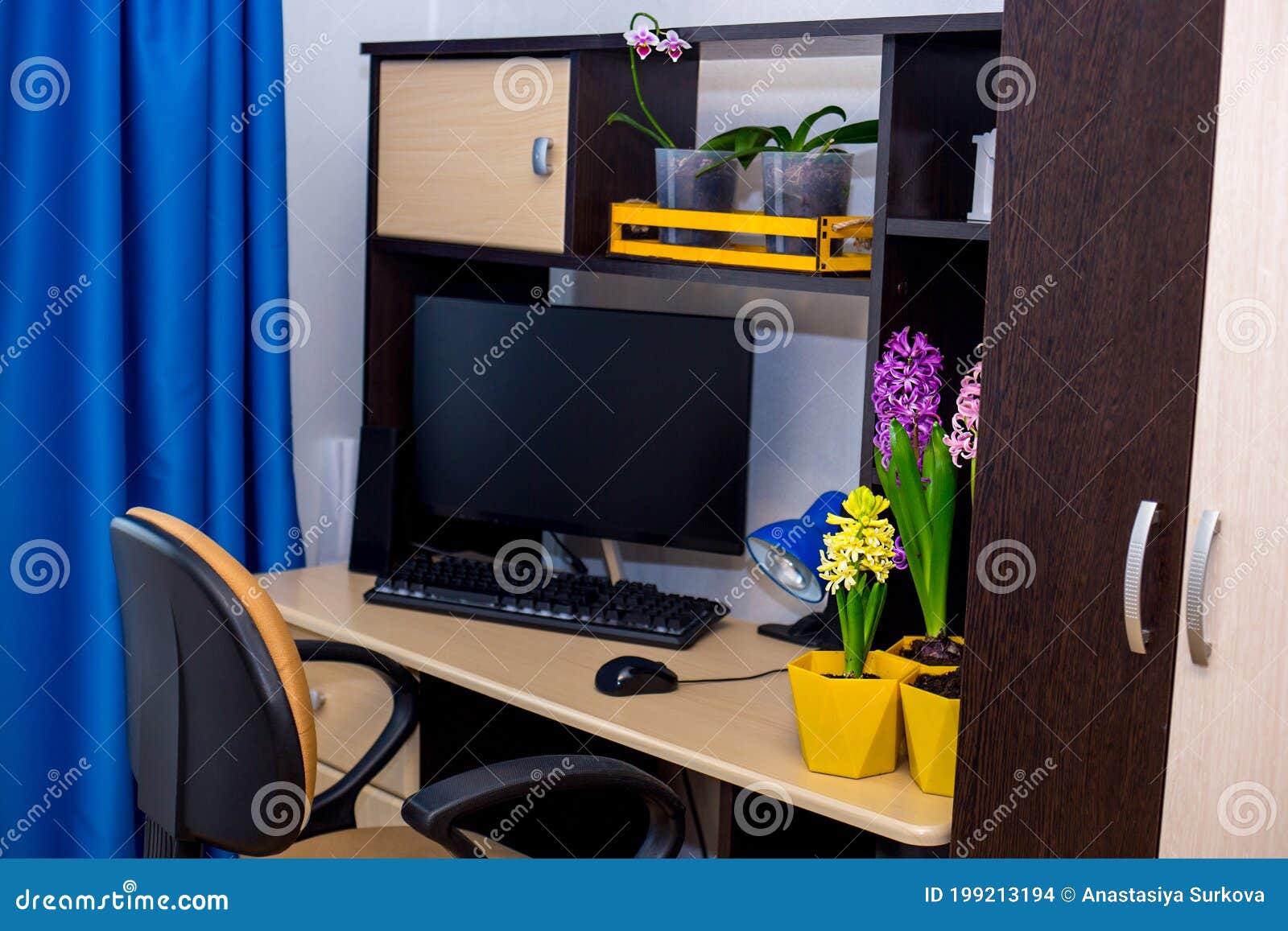 Spazio Di Lavoro a Casa Scrivania, Sedia D'ufficio, Tende Blu E Decorazioni  Naturali - Fiori Di Orchidea E Giacinti Fotografia Stock - Immagine di  fogli, scrittorio: 199213194