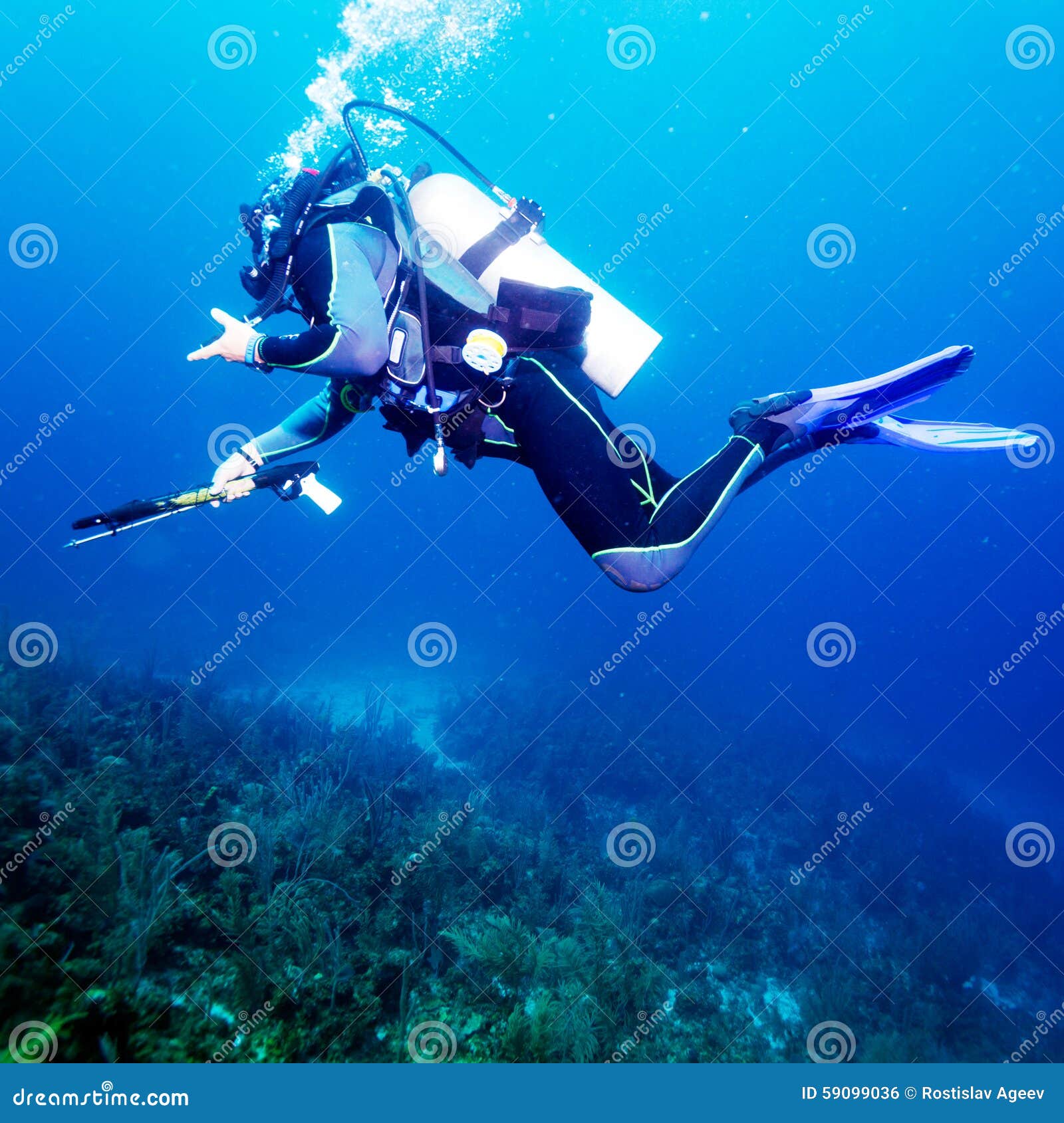 301 Underwater Speargun Stock Photos - Free & Royalty-Free Stock
