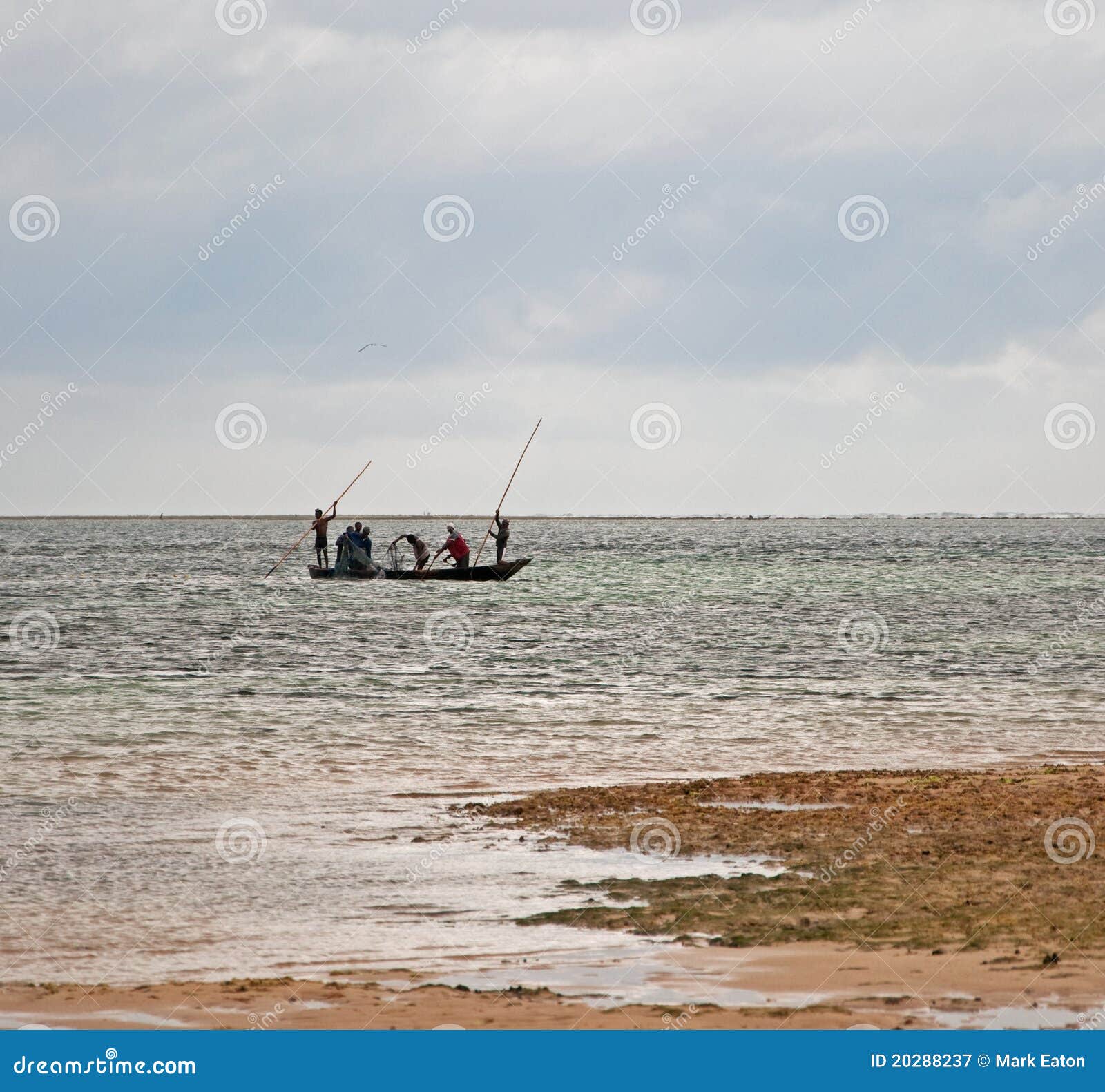 Spear Fishing in Mombassa, Kenya Stock Image - Image of hunter, work:  20288237