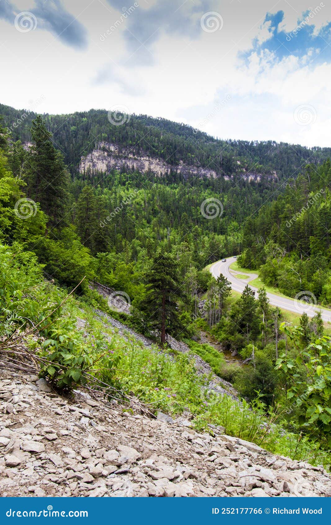 Spearfish Canyon in Summer, South Dakota Stock Photo Image of cliff