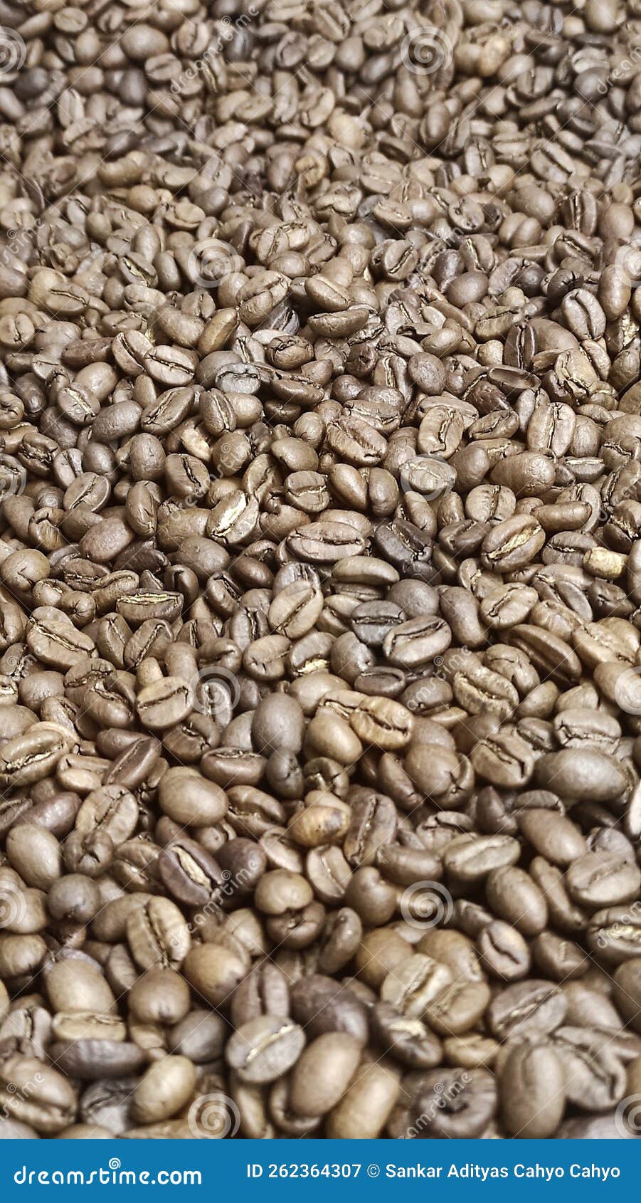 156 Bean Jogja Stock Photos Free & RoyaltyFree Stock Photos from