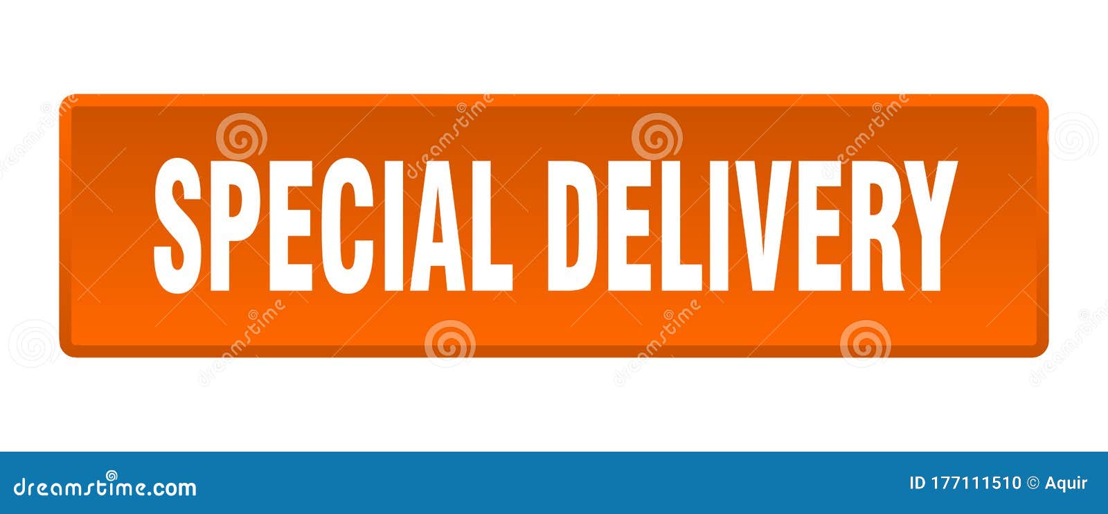 Special Delivery Button. Special Delivery Square Isolated Push Button Stock Vector