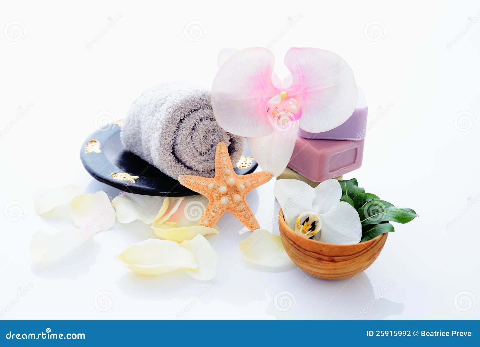 Special spa bloemen. Kuuroord en wellness die met natuurlijke zeep, zeester en handdoek plaatsen. Beige dayspa