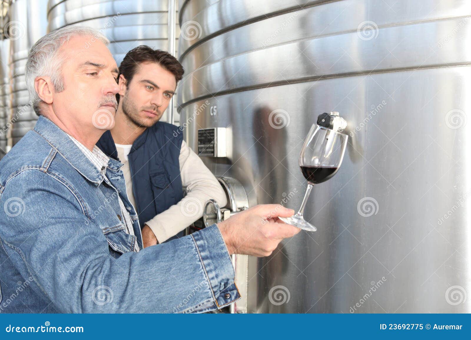 Specialist tasting wine stock image. Image of senses 23692775