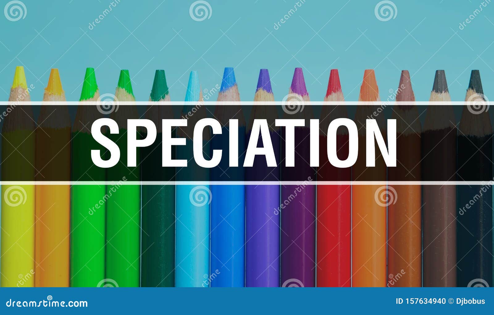 speciation concept with education and back to school concept. creative educational sketch and speciation text with colorful