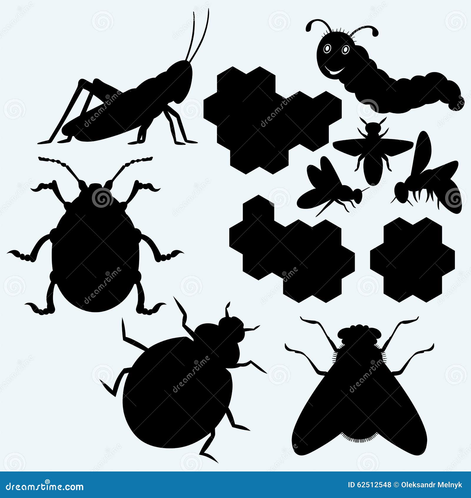 species of insects