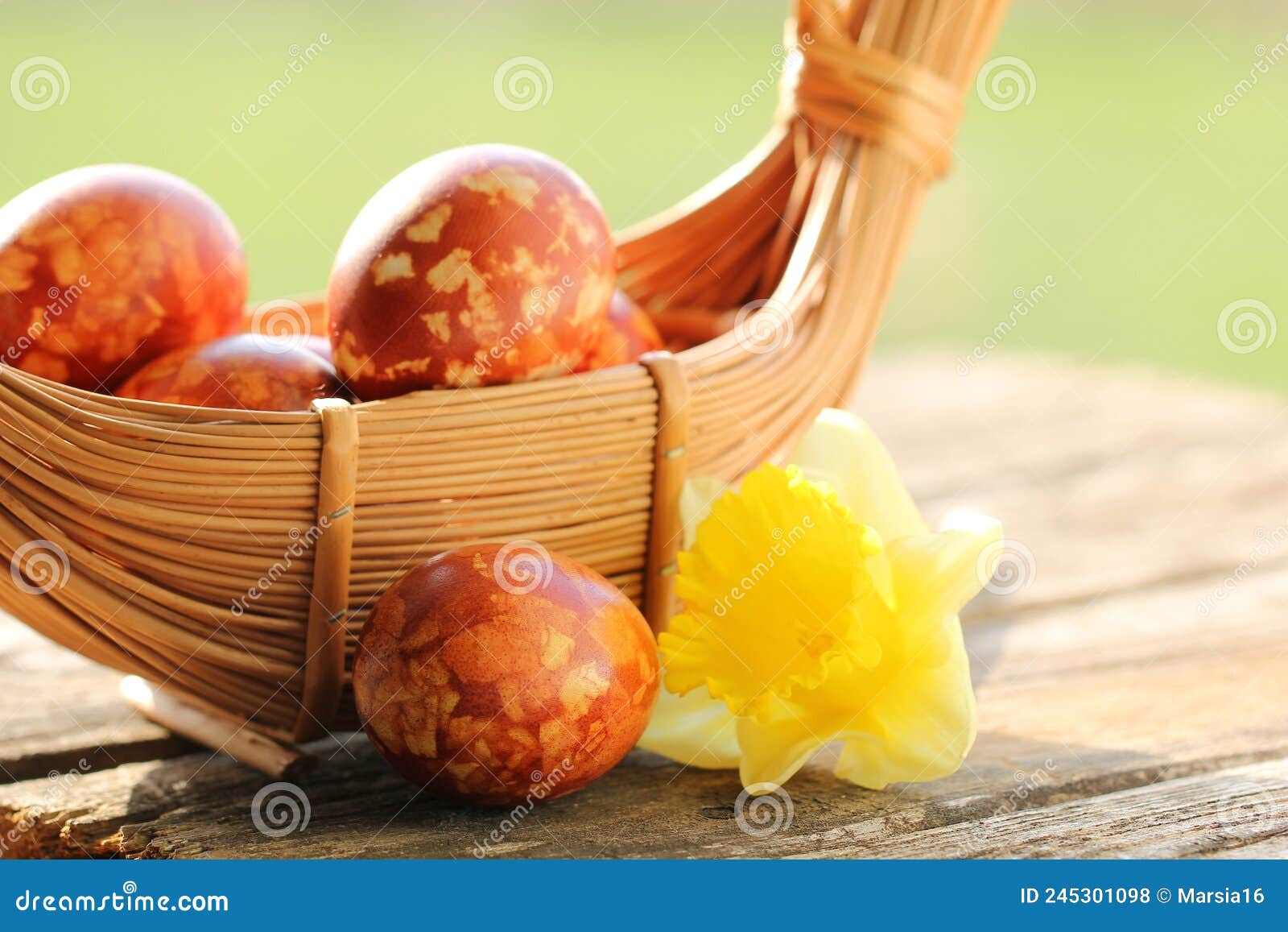 speckled easter eggs and narcissus flower