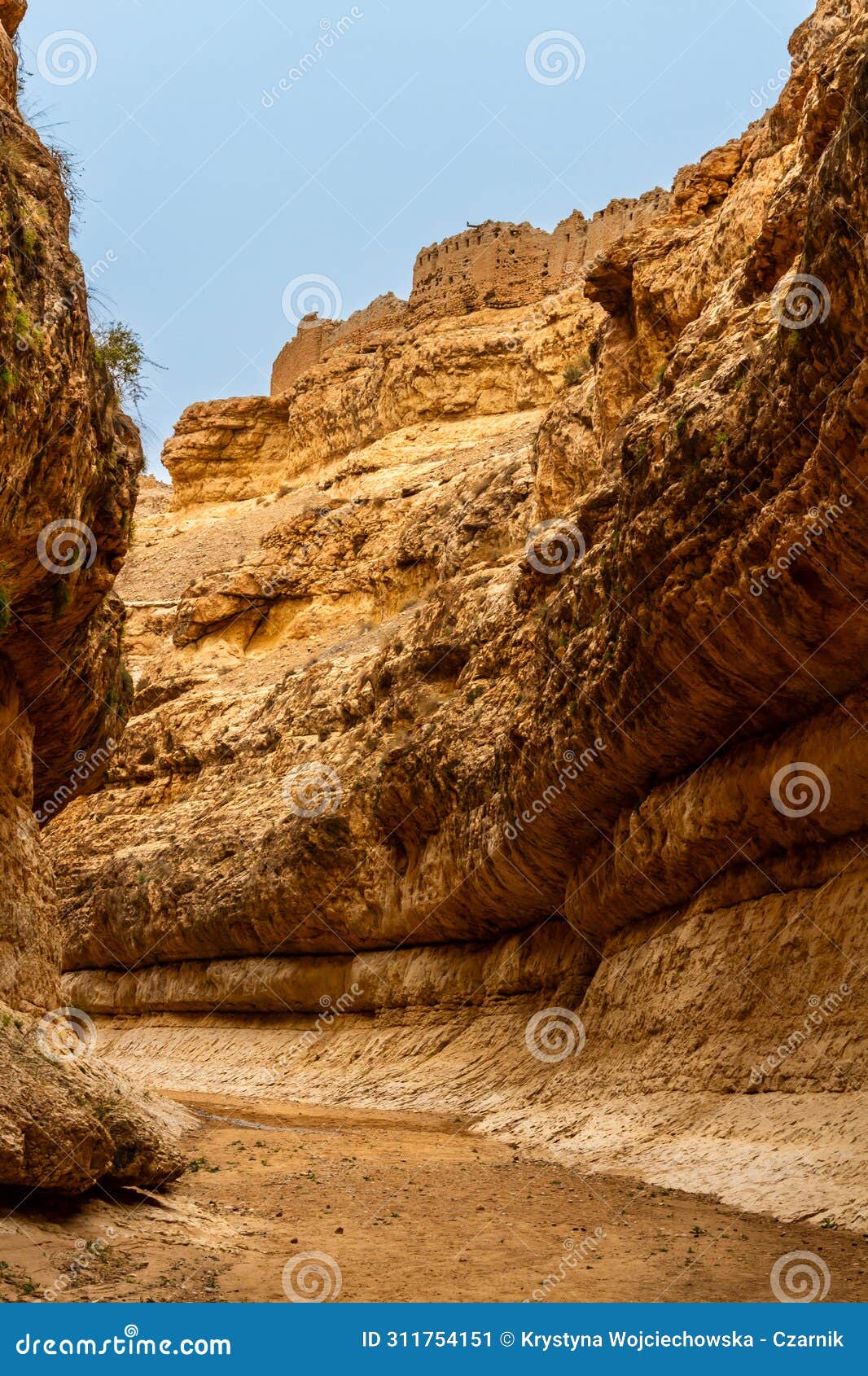 dry, desert canyon . mides, tunisia, africa