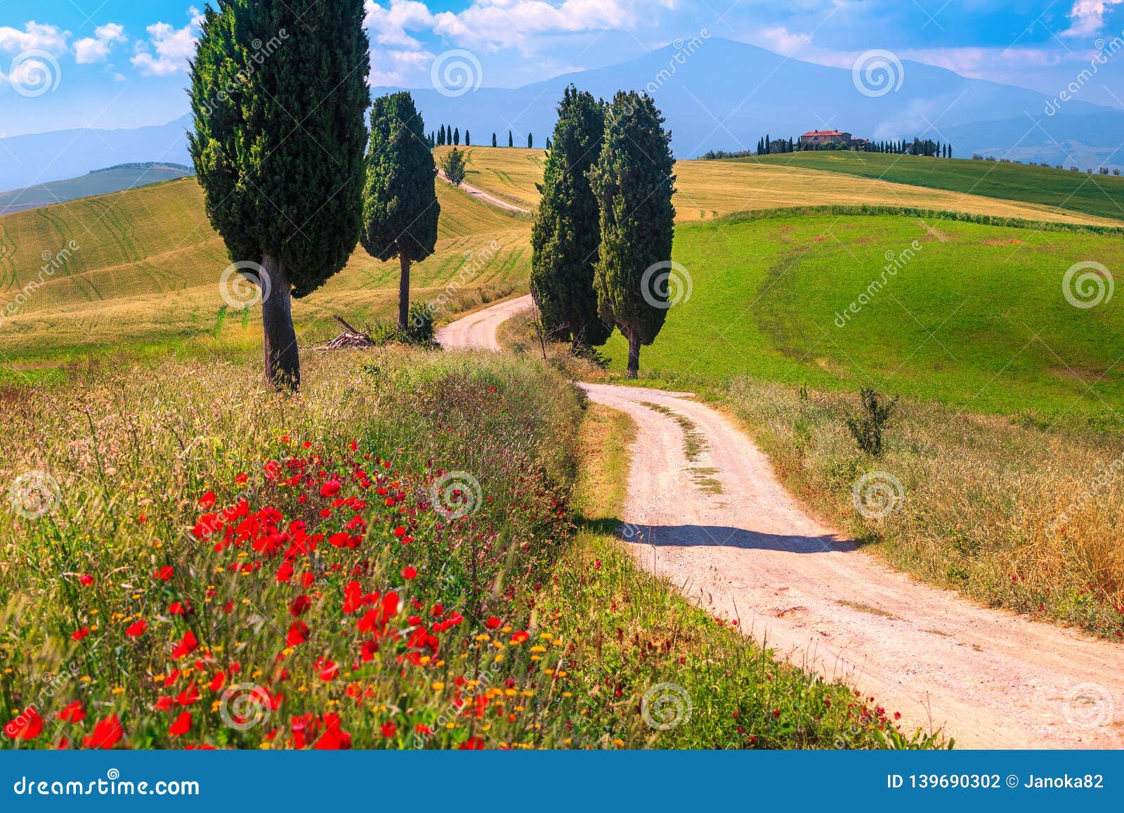 Summer Tuscany Landscape With Grain Fields And Rural Road Italy Stock