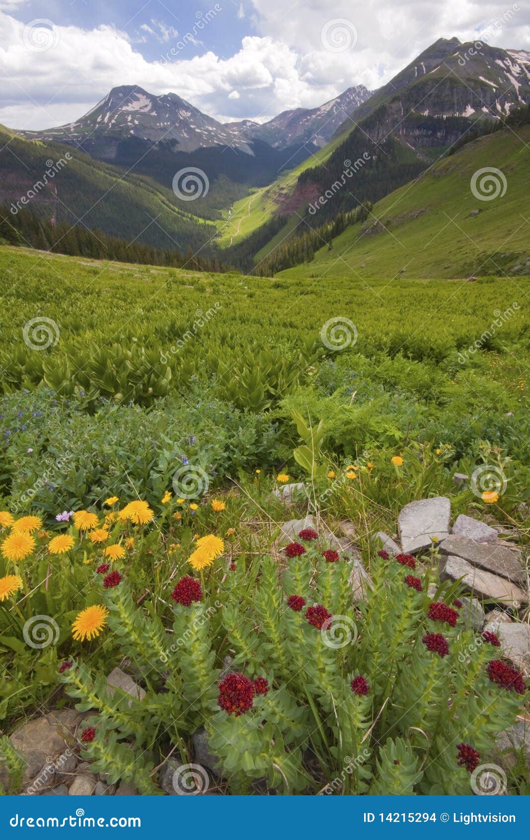 spectacular view colorado mountains and summer