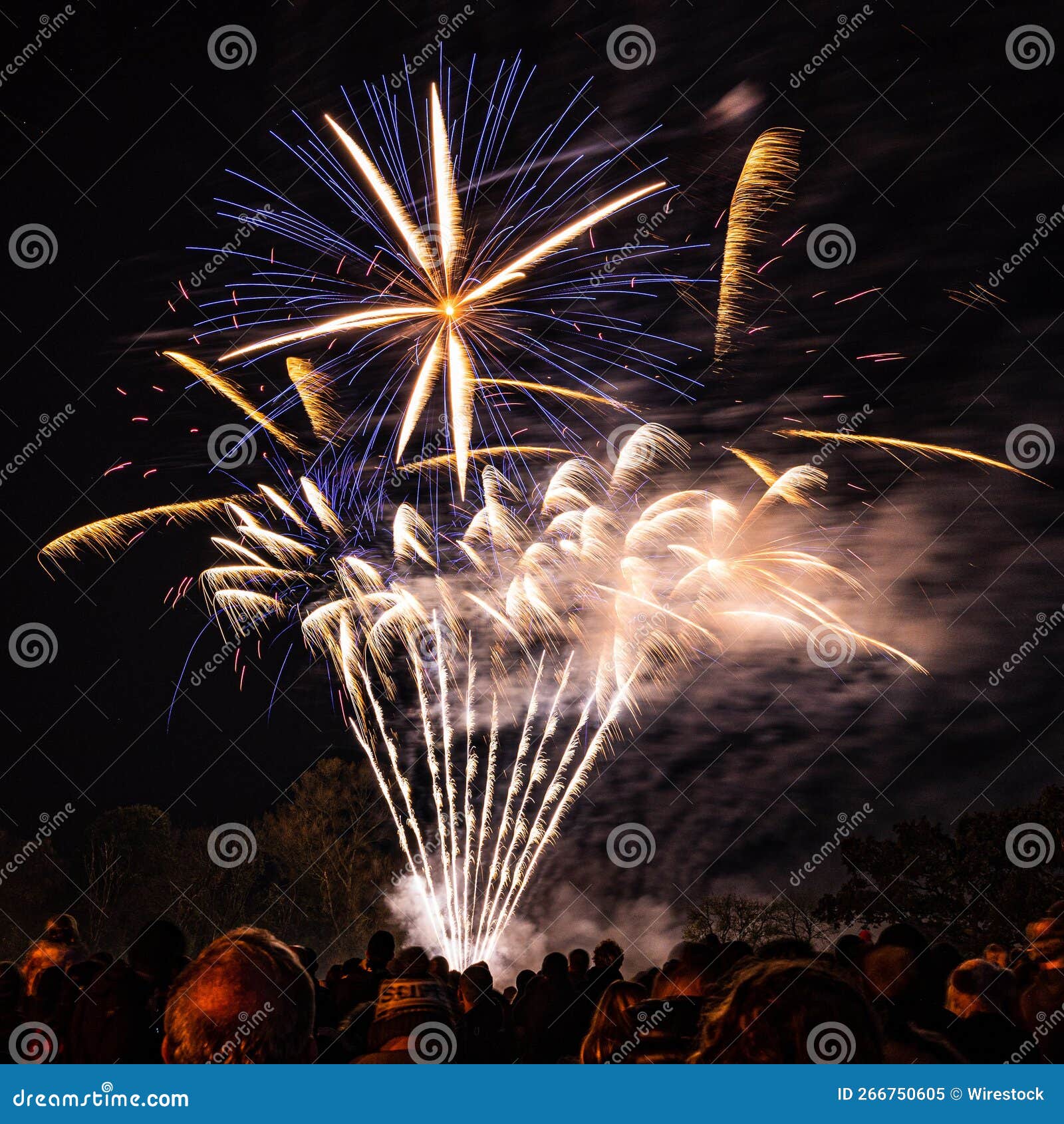Spectacular View of a Crowd Watching Beautiful Fireworks Explode in a