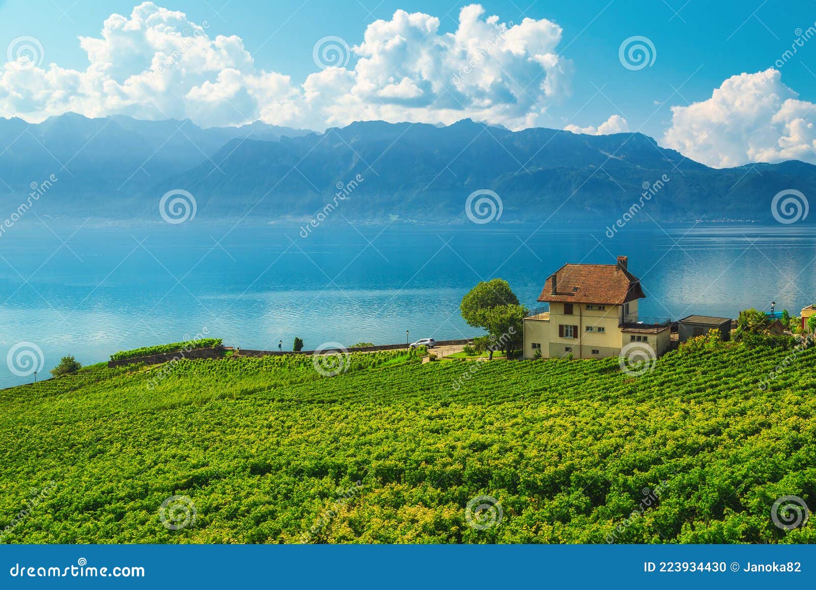 isle vaud suisse anti aging