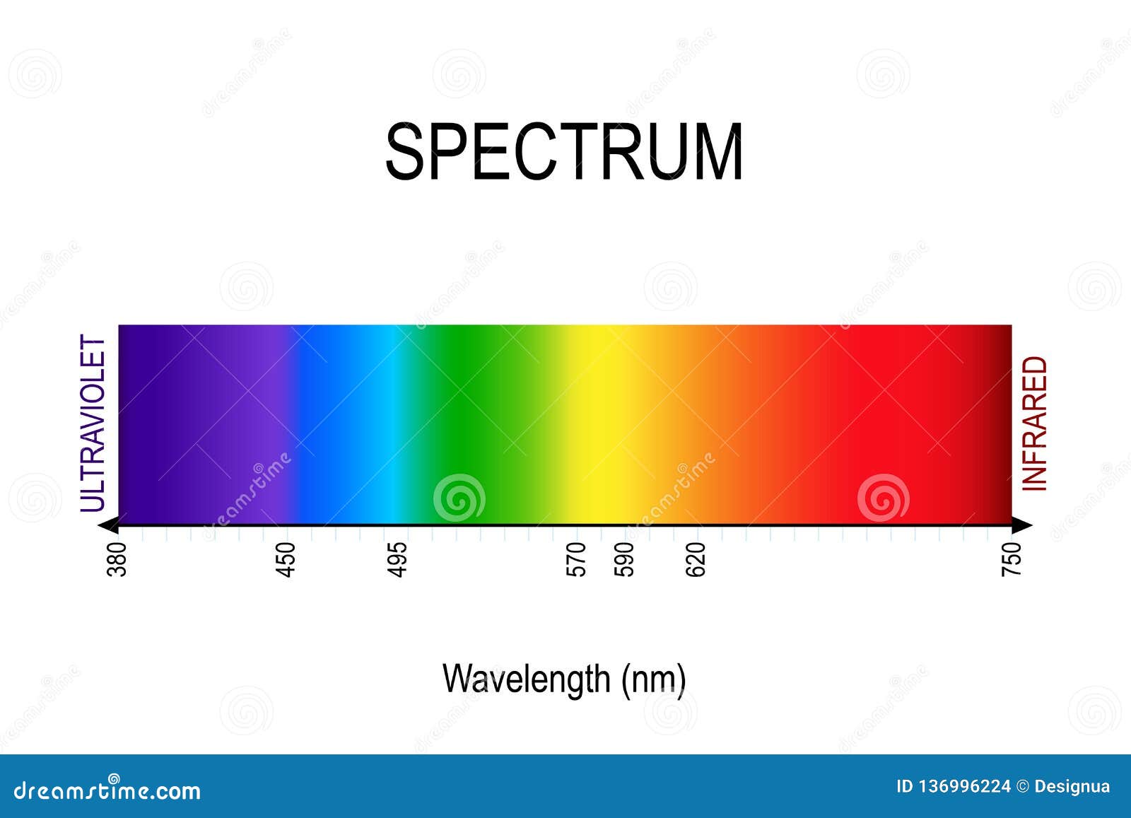 spectrum. visible light, infrared, and ultraviolet. electromagnetic radiation