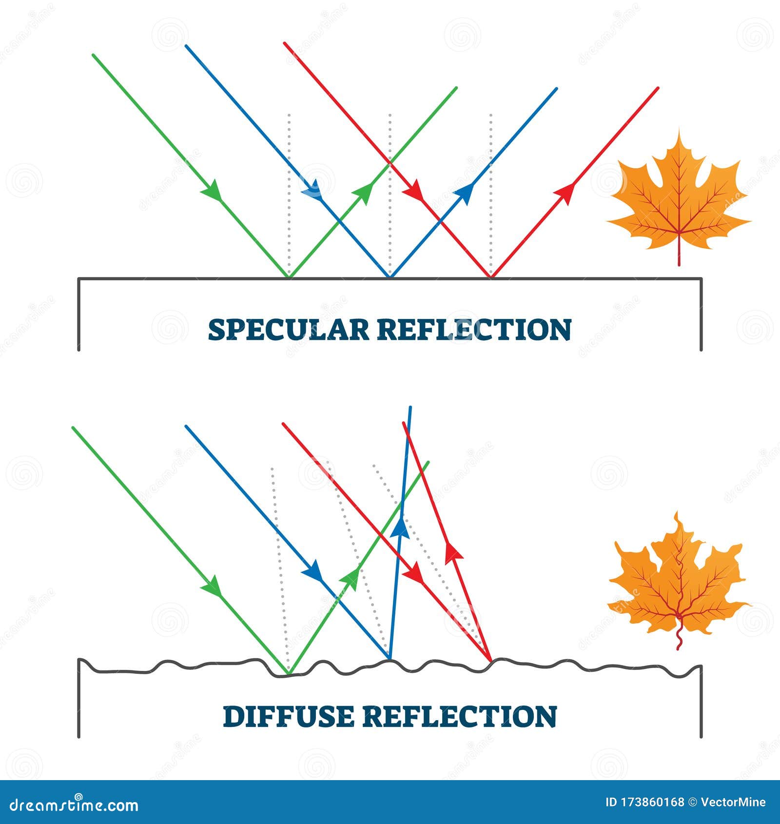 specular and diffuse reflection,   diagram