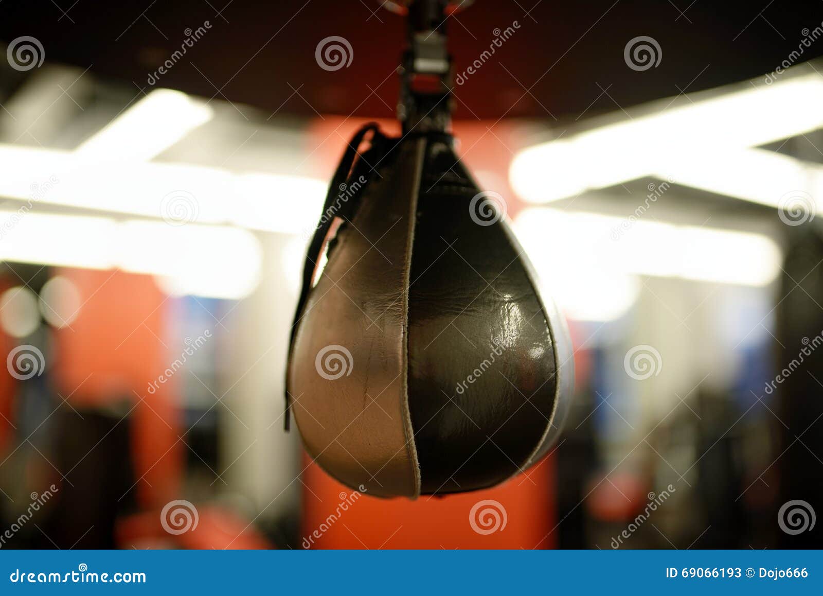 Speed punching bag in gym stock image. Image of aggression 69066193