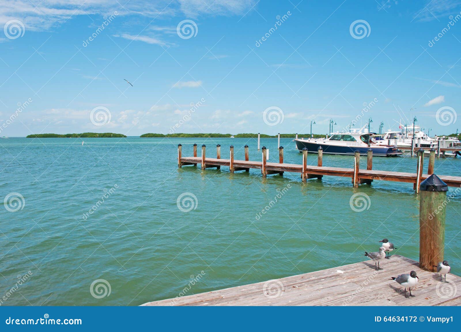 speedboats, pier, seagulls, birds, key west, keys, cayo hueso, monroe county, island, florida