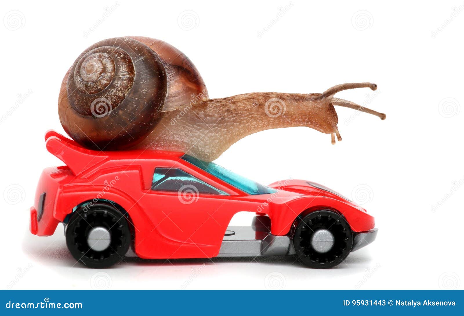 speedy snail like car racer. concept of speed and success. wheels are blur because of moving.  white background