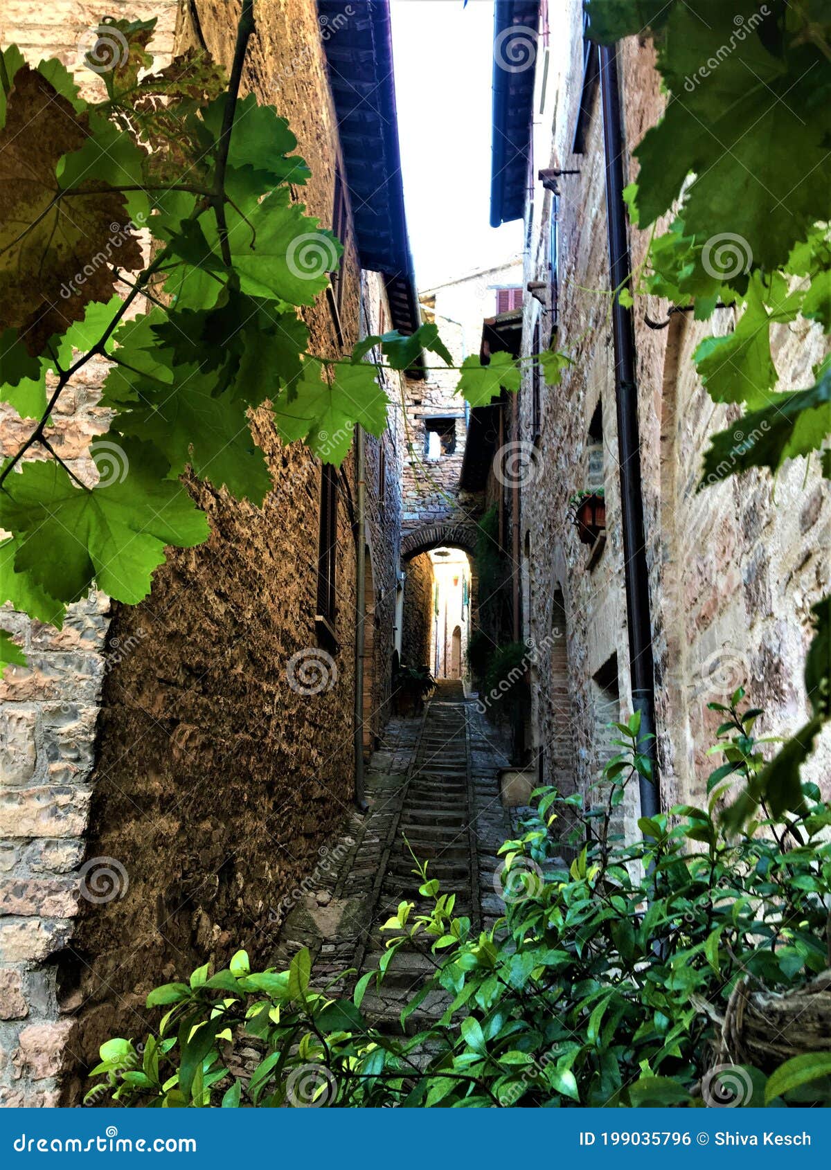 spello town in umbria region, italy. splendour, time, history and tourism