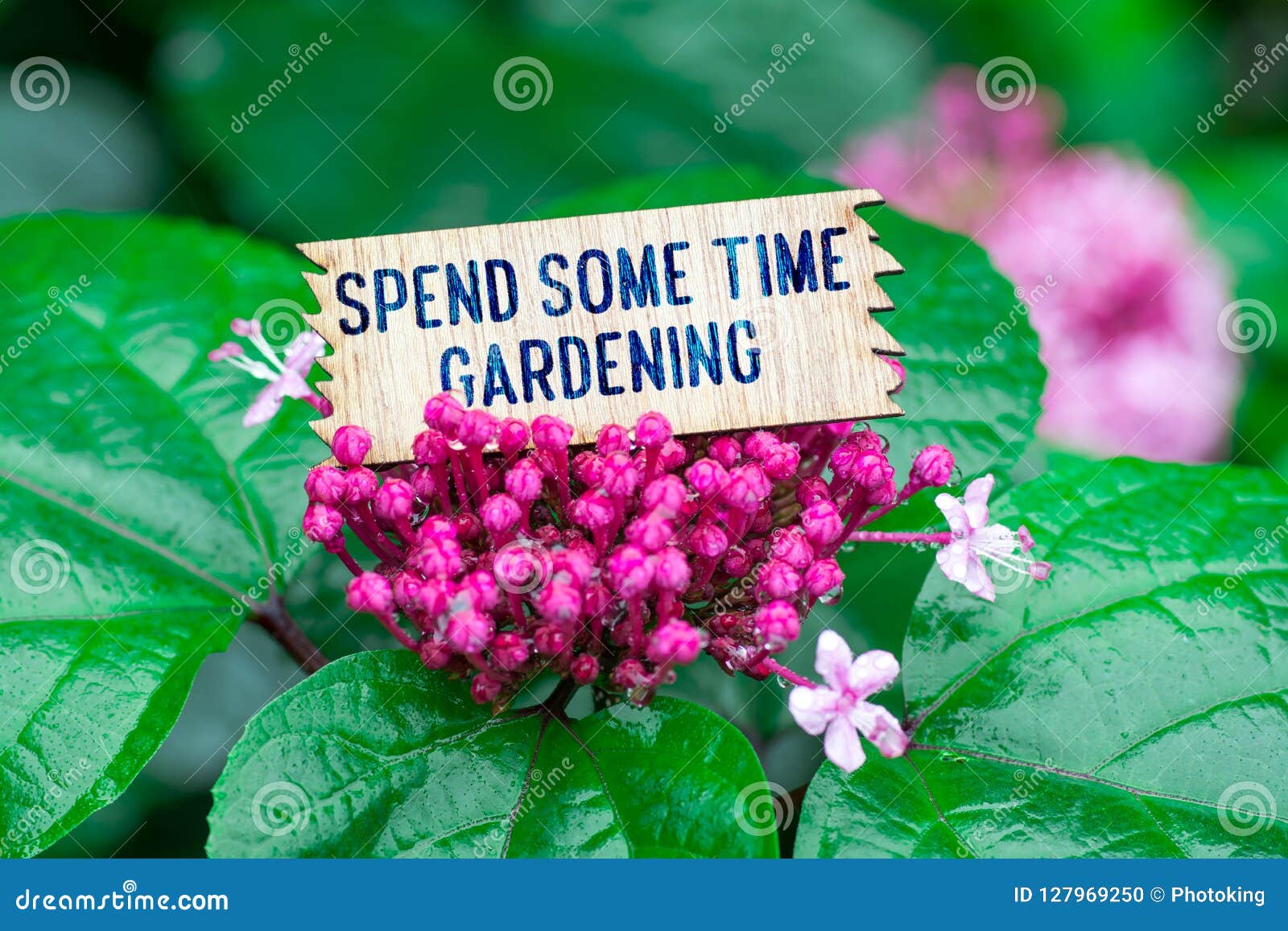 spend some time gardening in wooden card