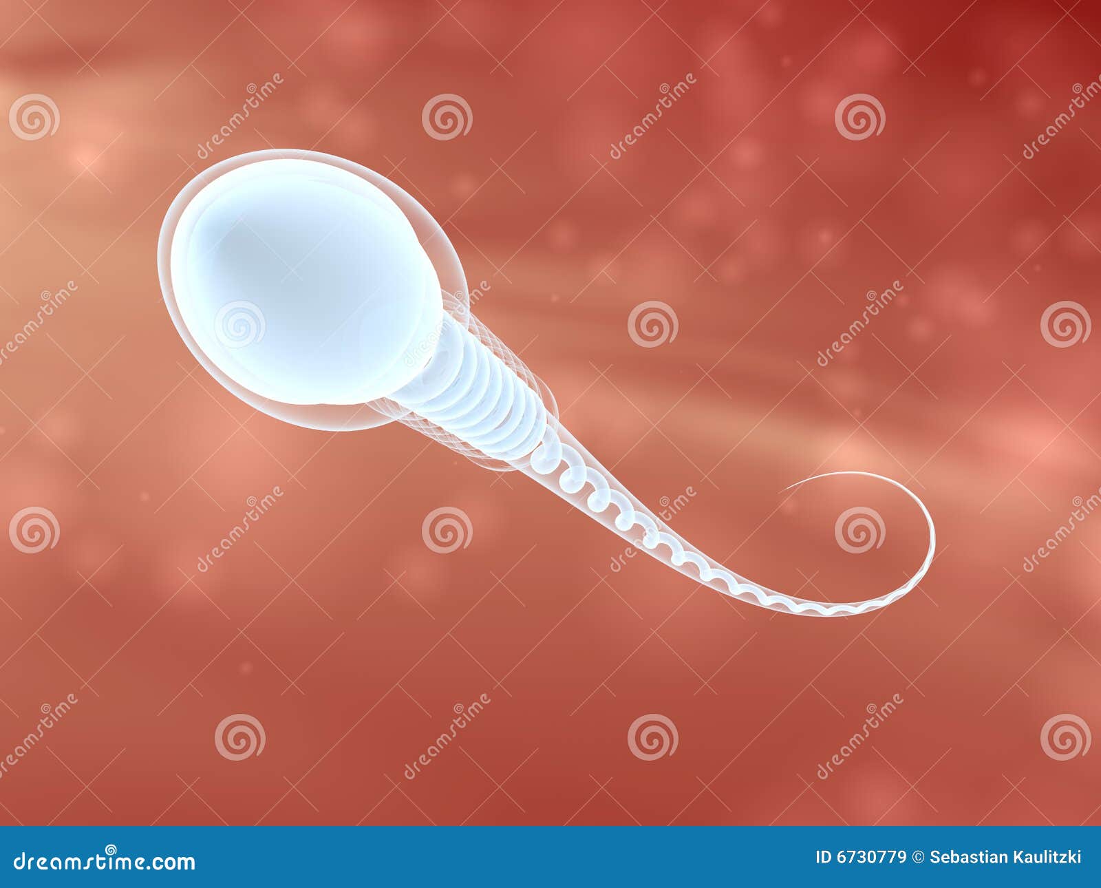 Sperm Royalty Free Stock Images - Image: 6730779 Sperm Royalty Free Stock Images Image 6730779
