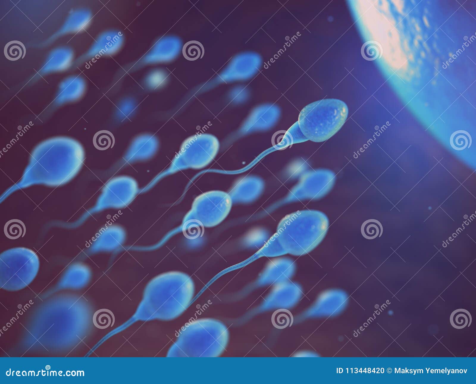 Sperm and Egg Cell on Microscope. Scientific Background Stock
