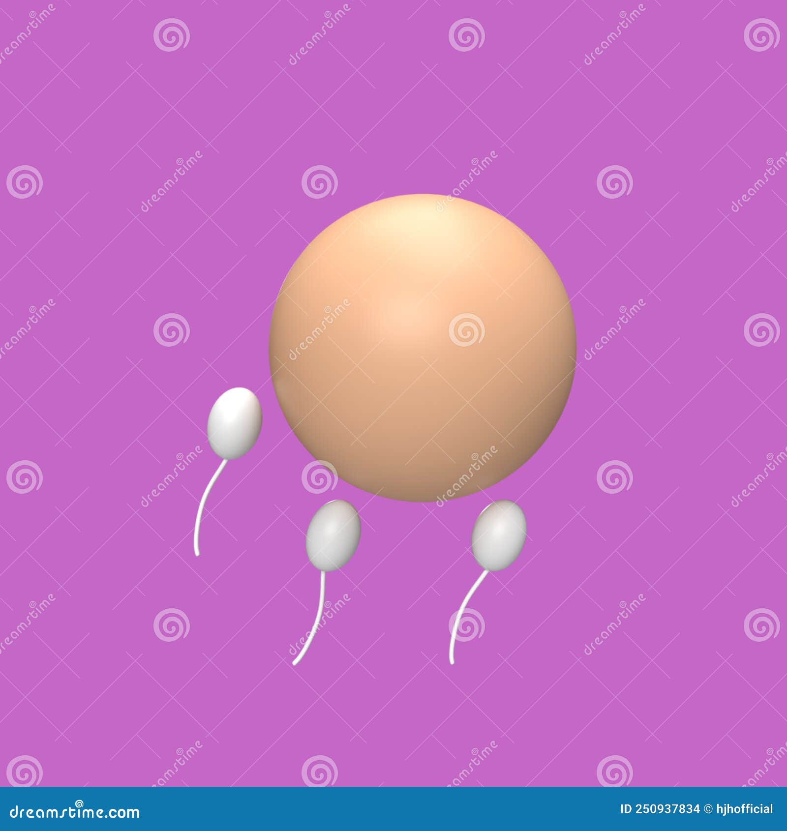 Sperm Model